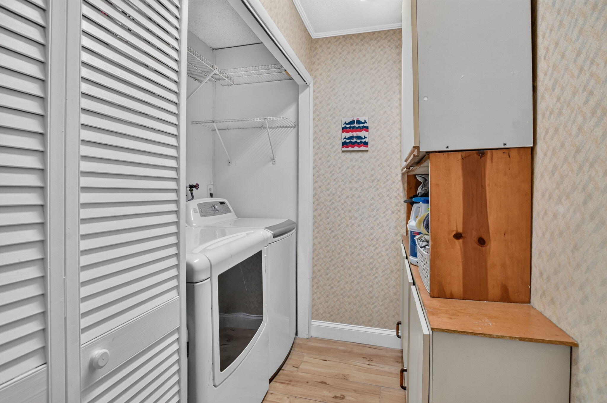 48-web-or-mls-DSC_4695