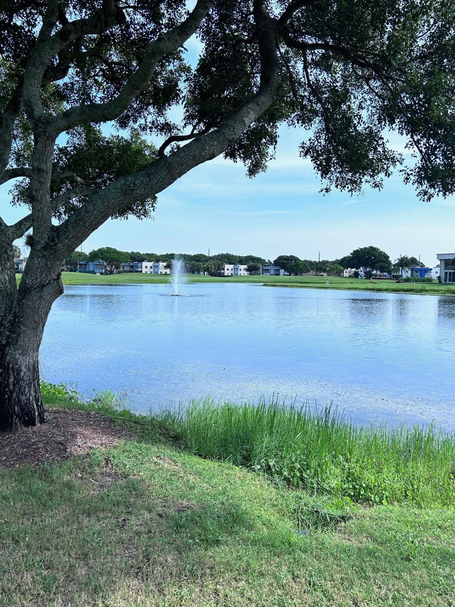 Grounds