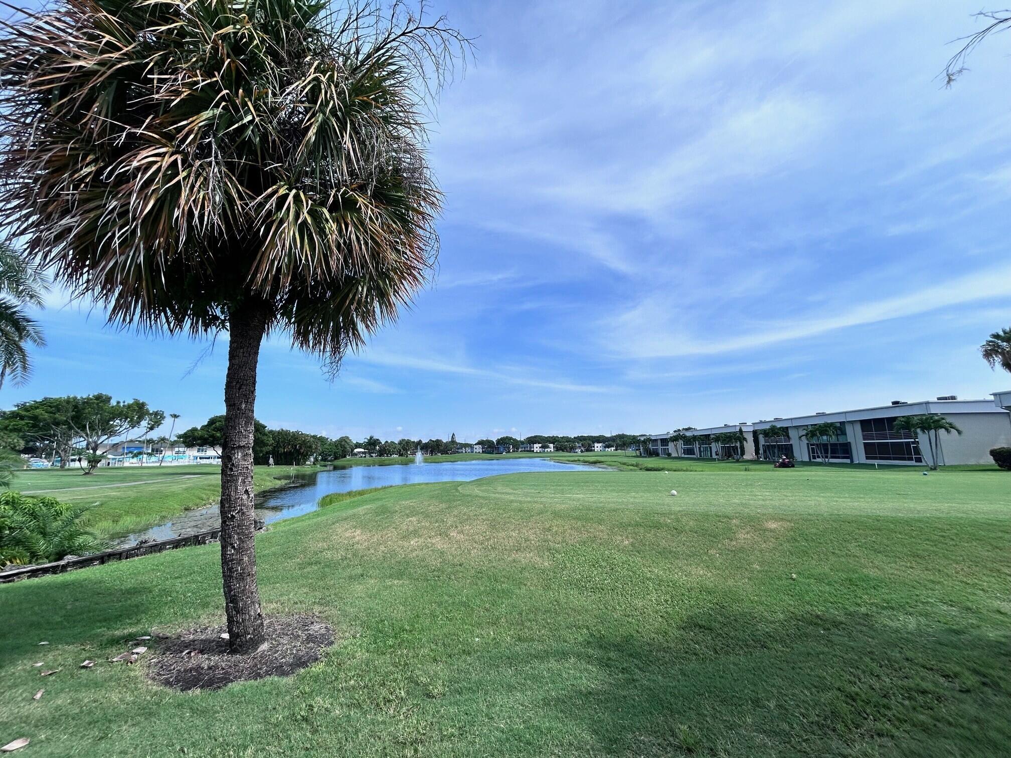 Grounds