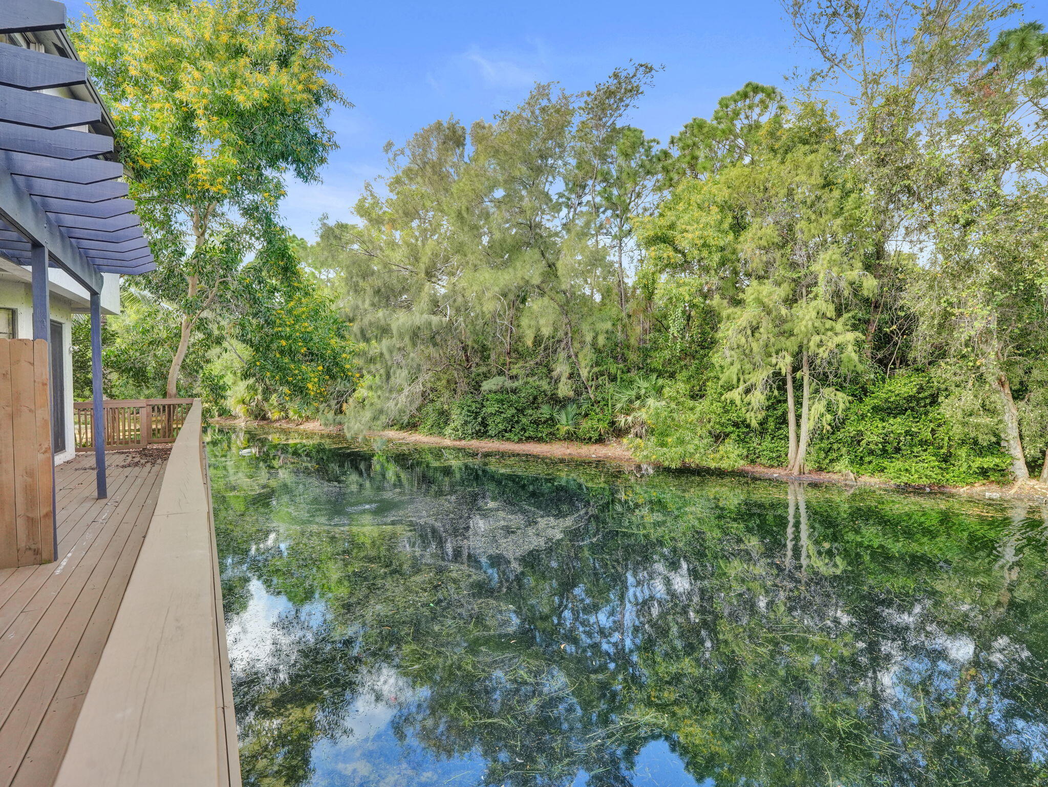 41-web-or-mls-DSC09773
