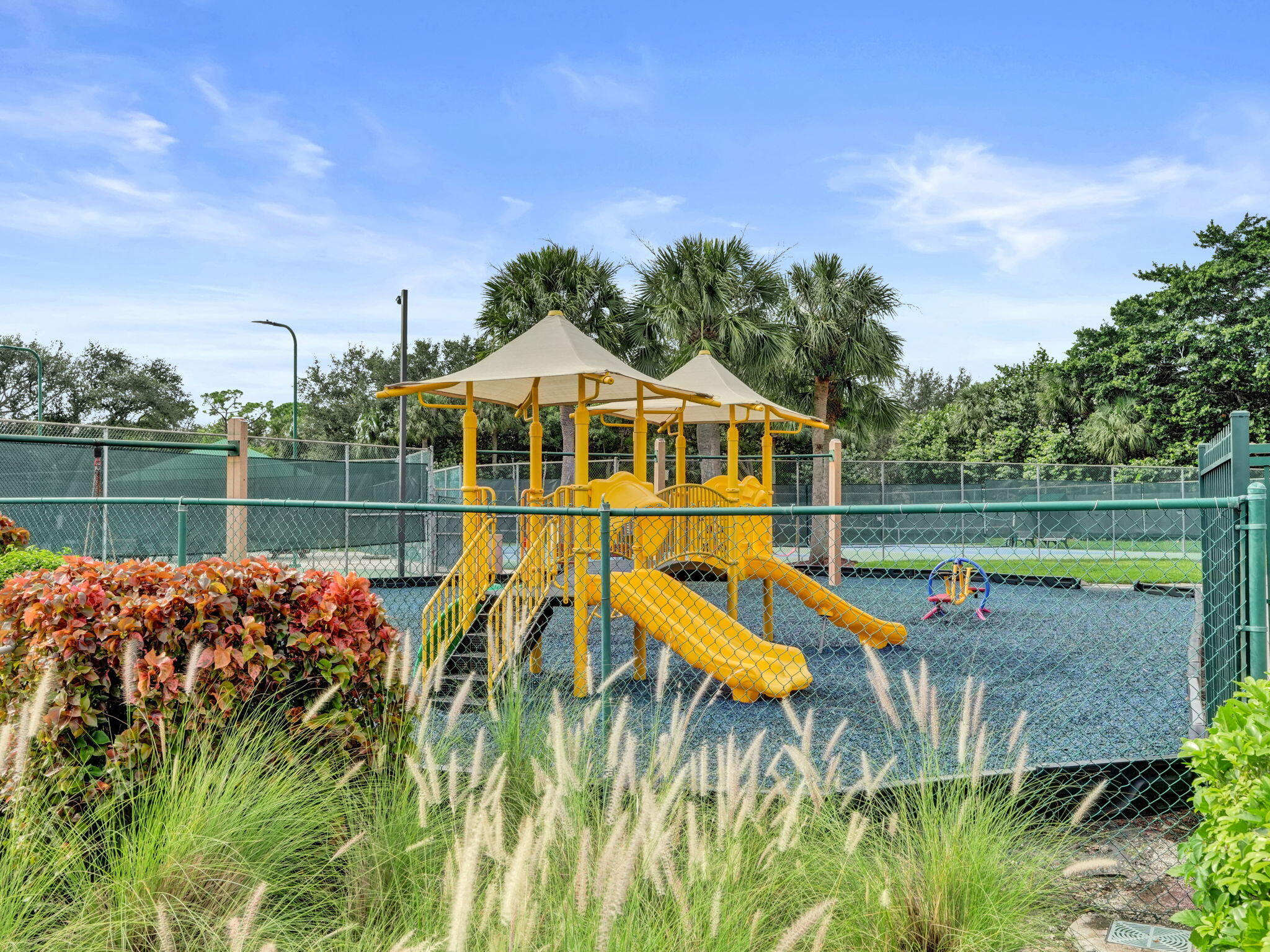 58-web-or-mls-DSC09824