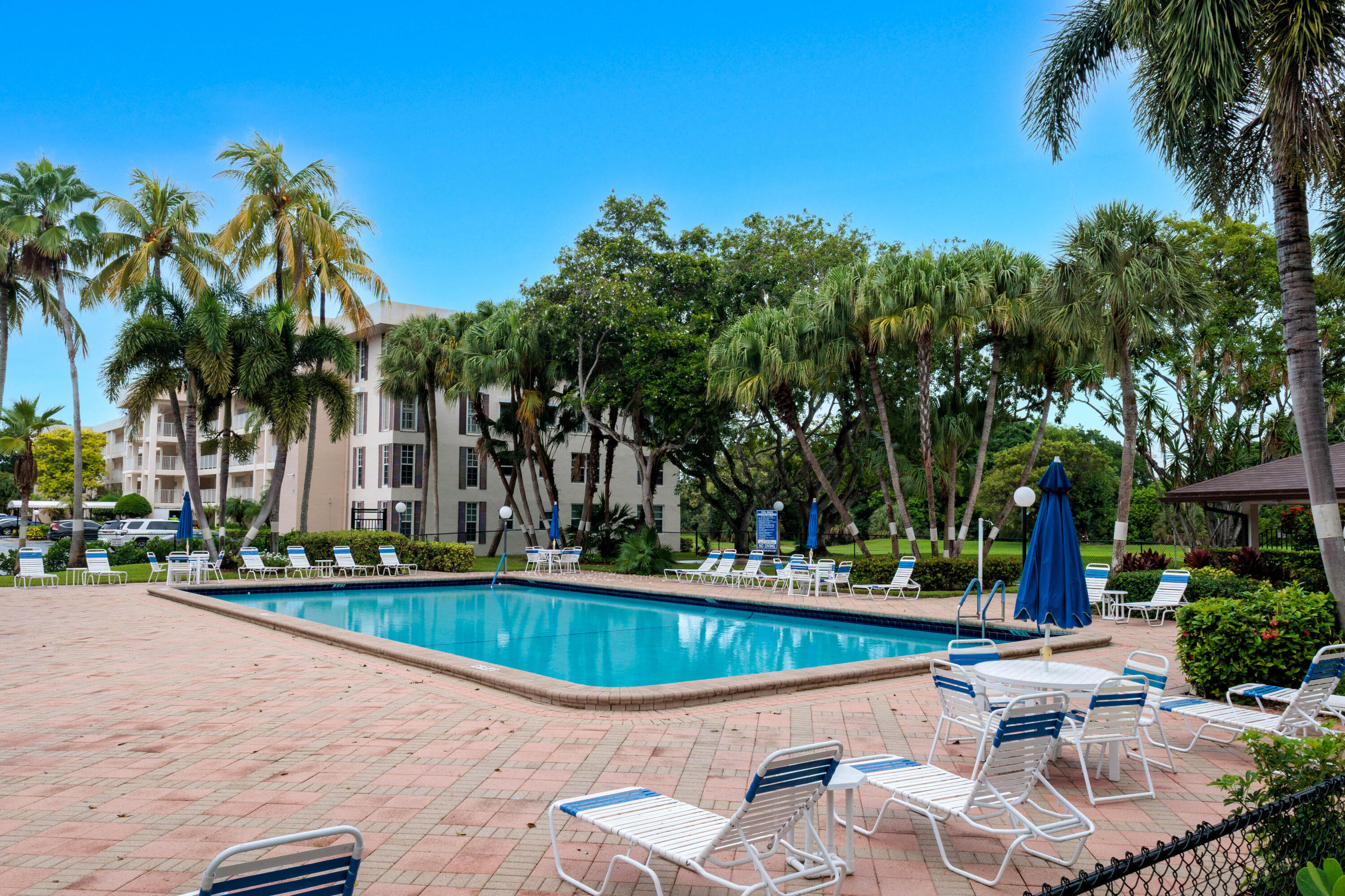 In-ground swimming pool featuring a brick-paver deck, perimeter landscaping, and mature palm trees