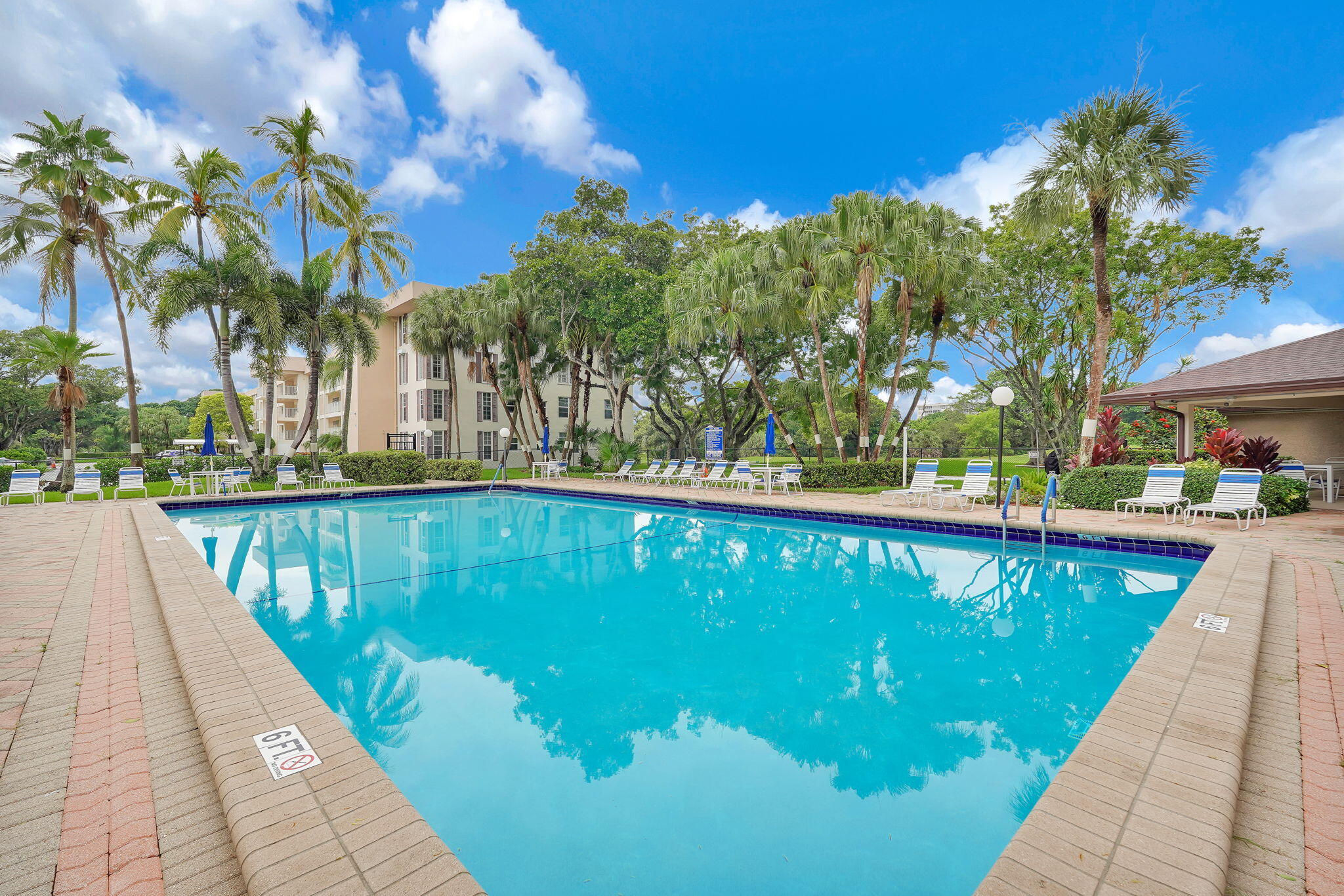 Rectangular swimming pool featuring a brick-paver deck, integrated step entry, and mature palm trees