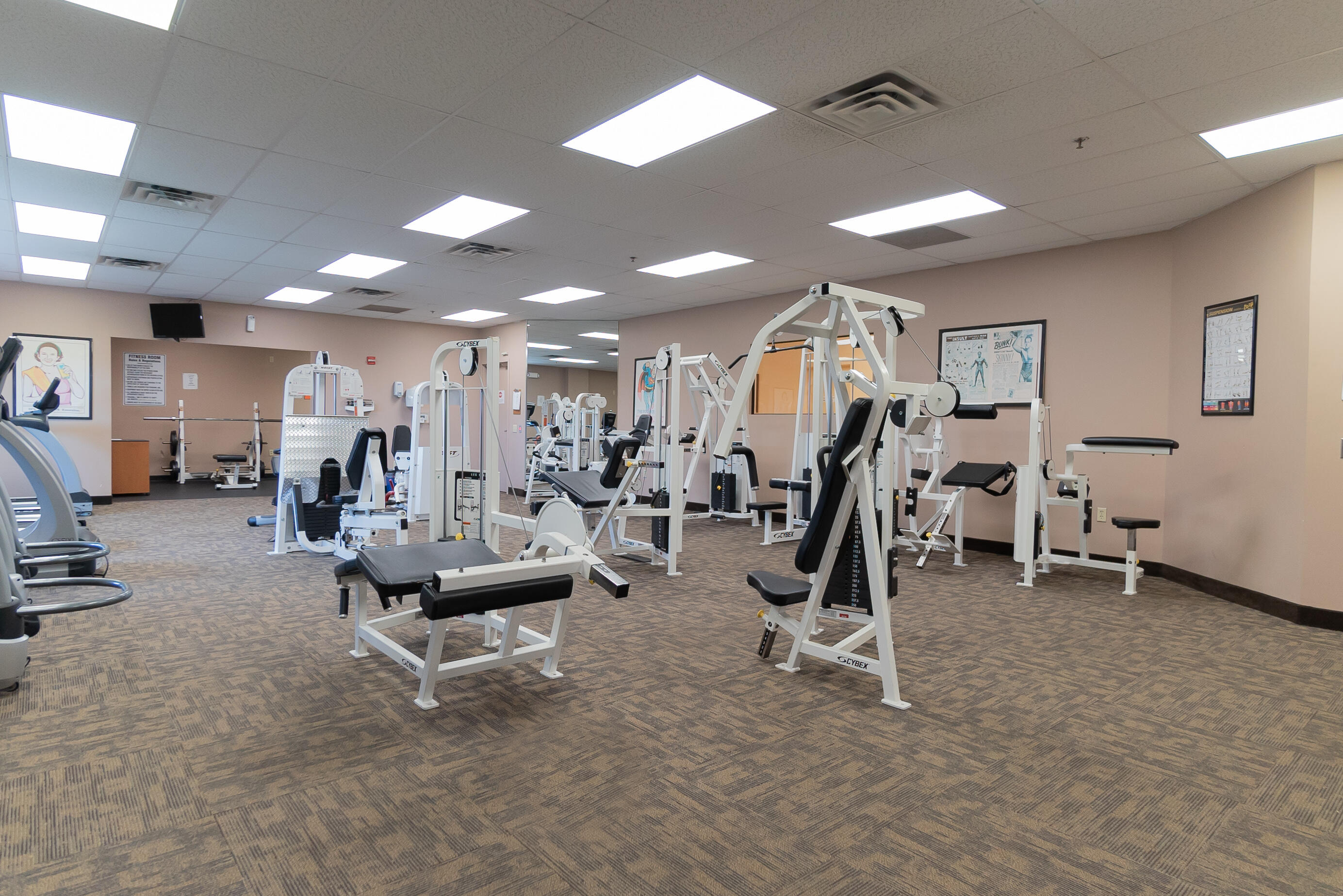 46. Gym