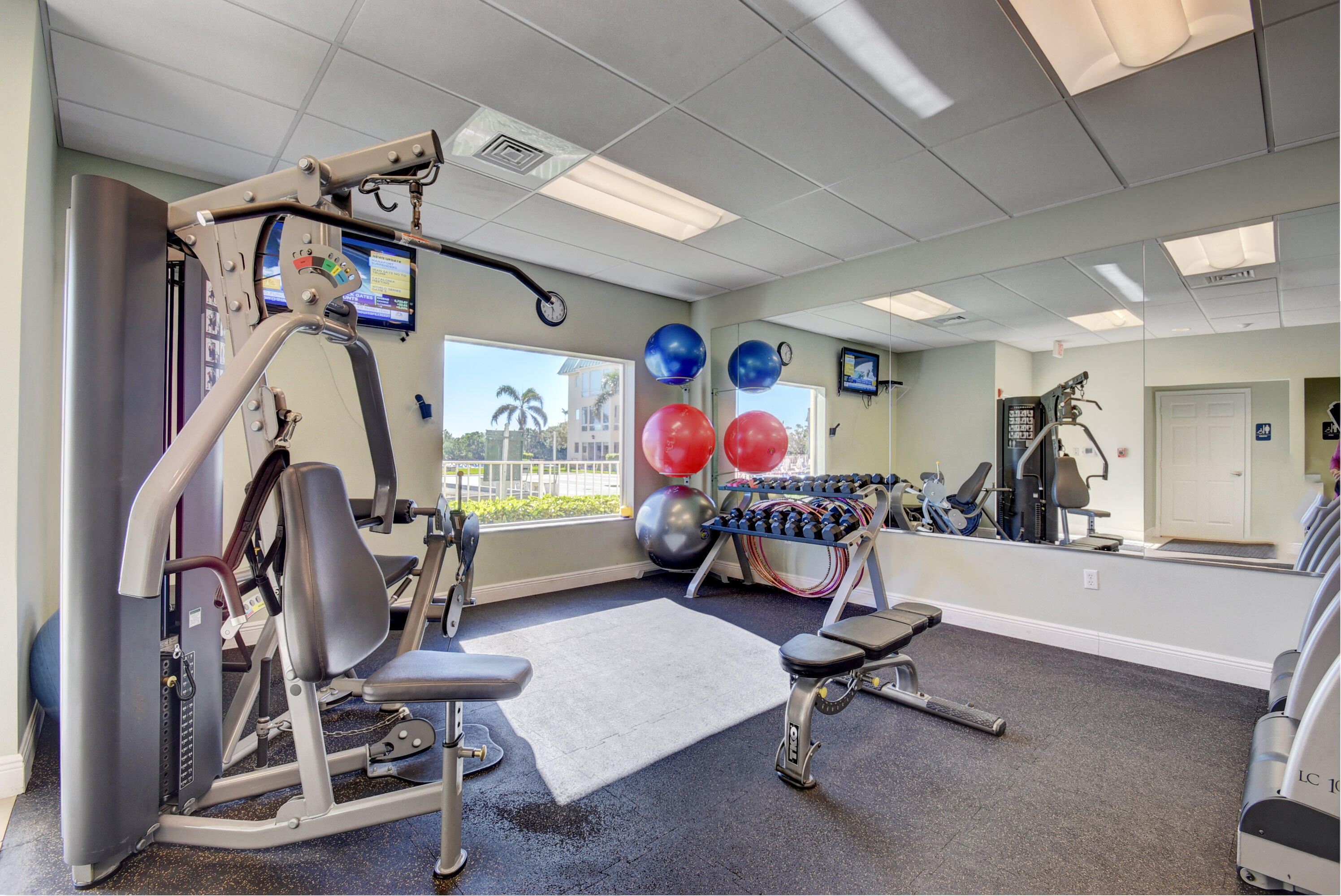 Gym