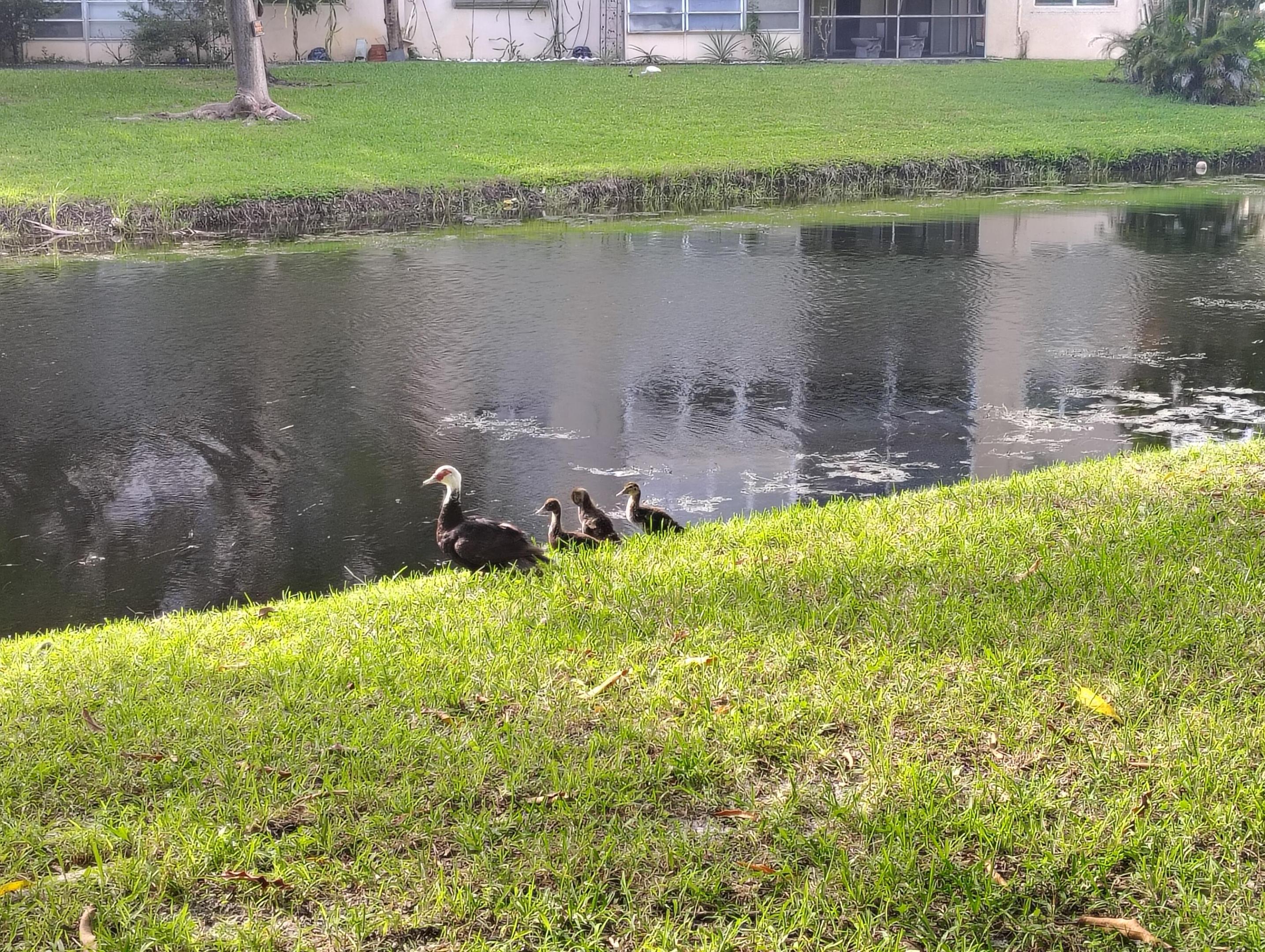 Canal