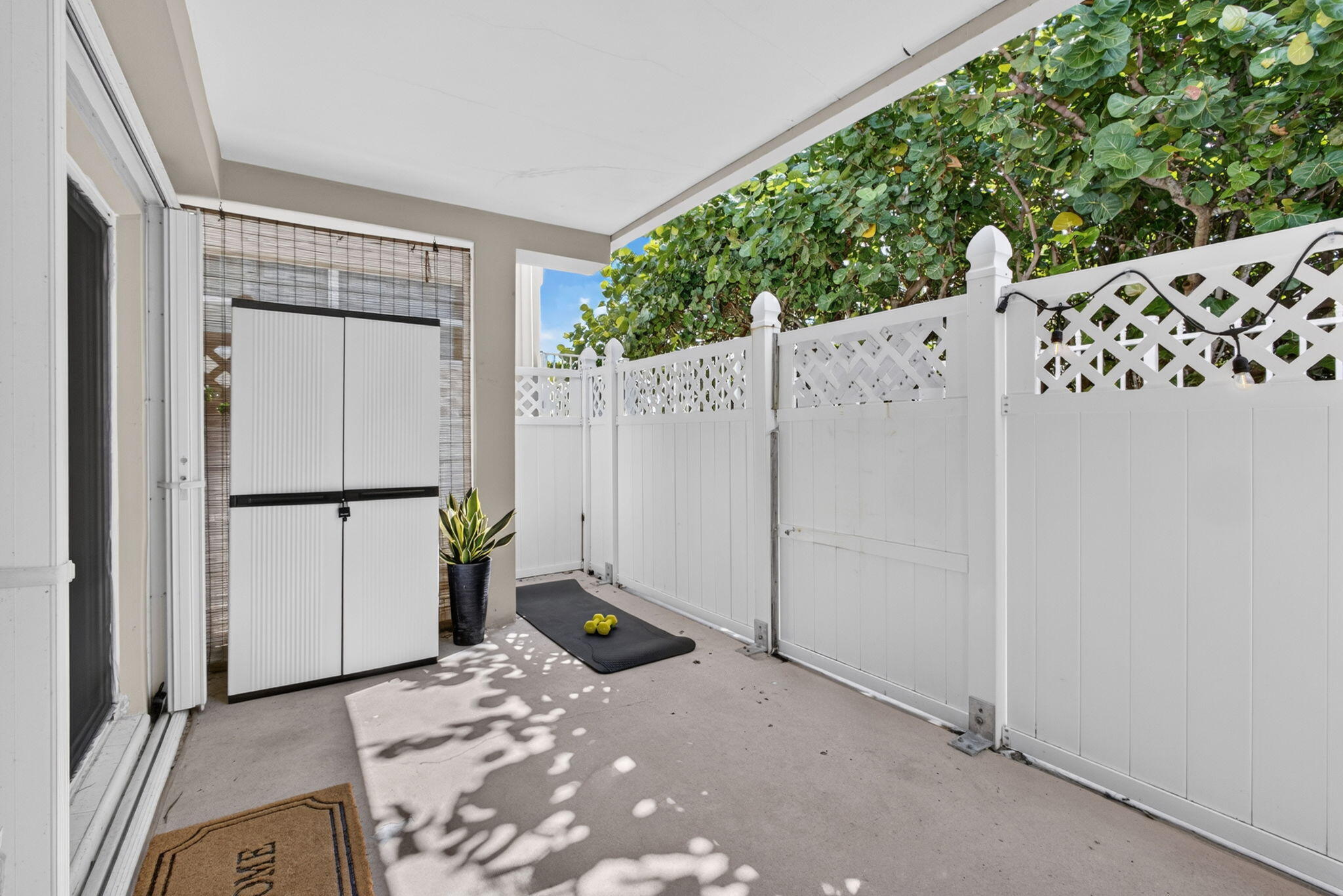 33-web-or-mls-5D1A5596