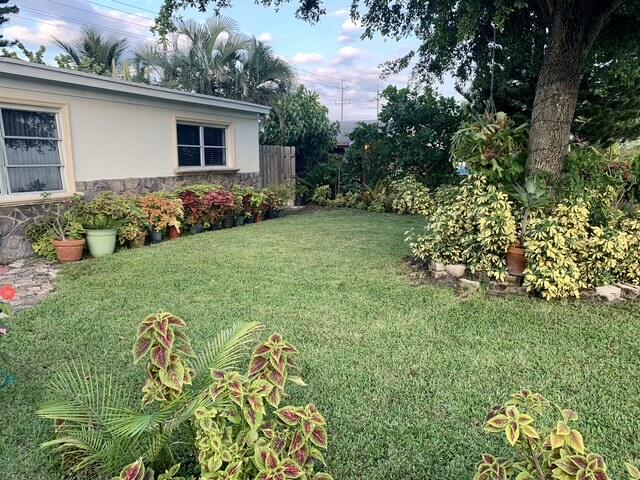 image12 (1)