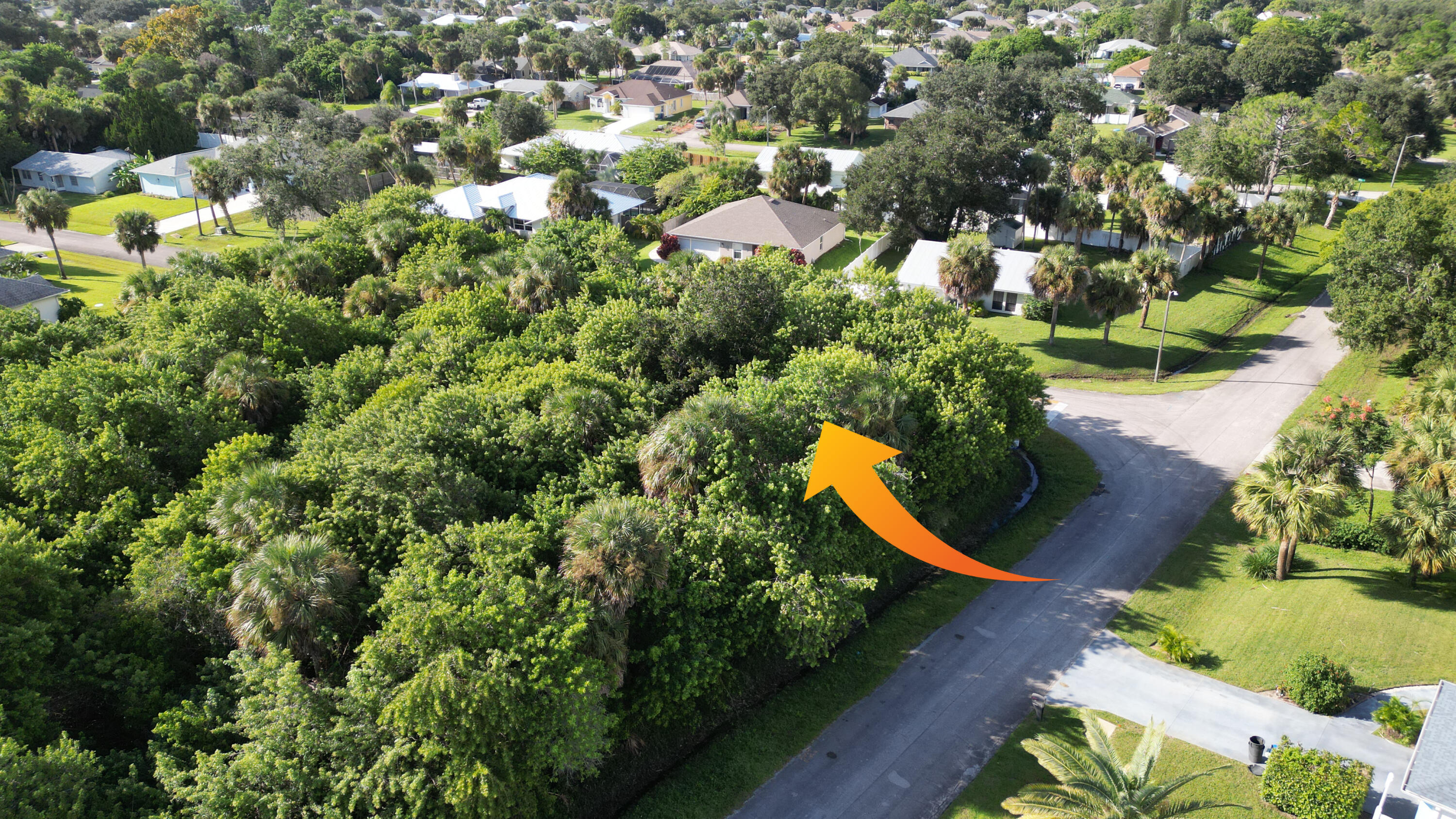 Vacant lot featuring mature native trees and dense foliage cover