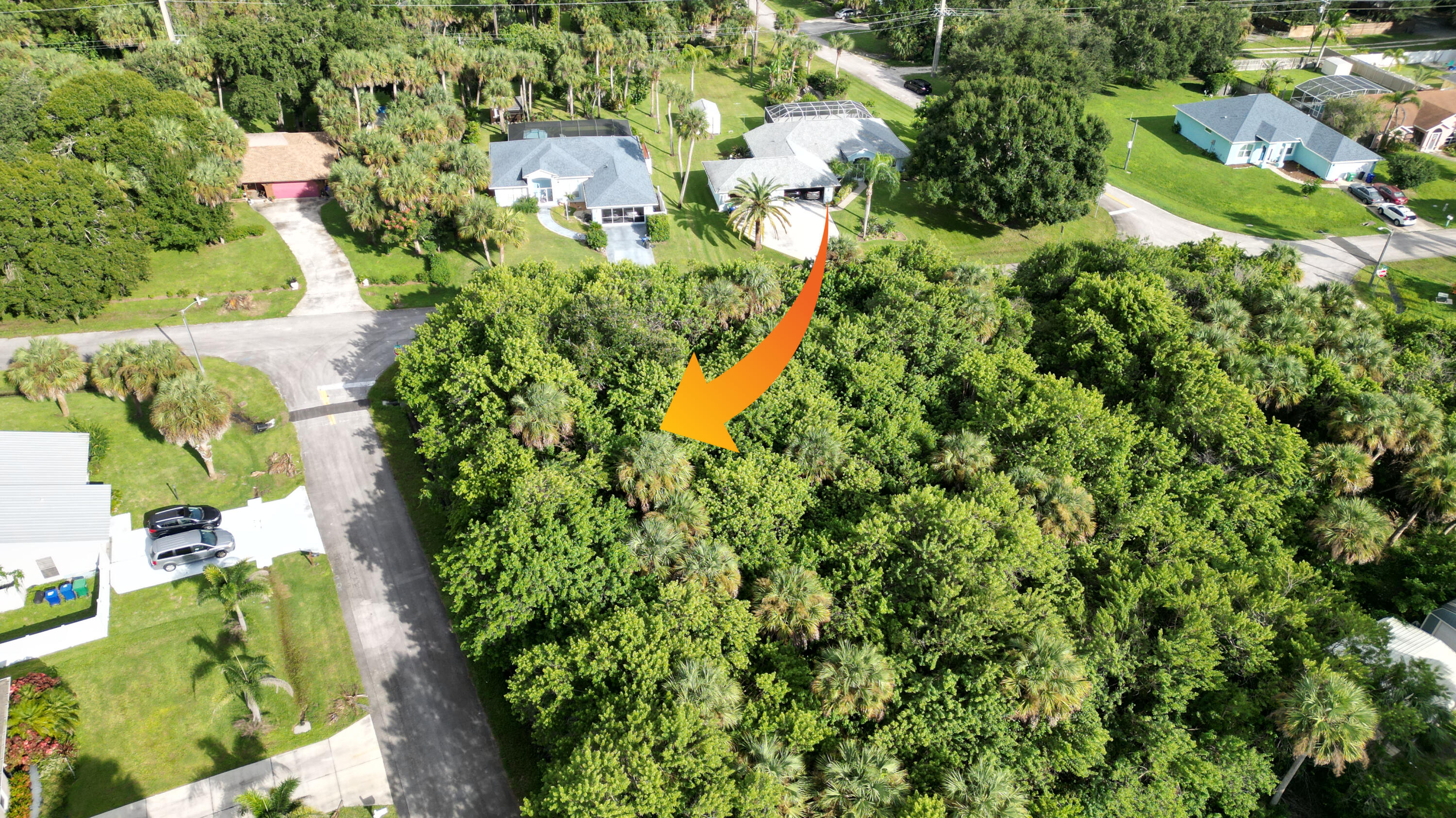 Expansive parcel featuring mature trees, native vegetation, and established palm trees