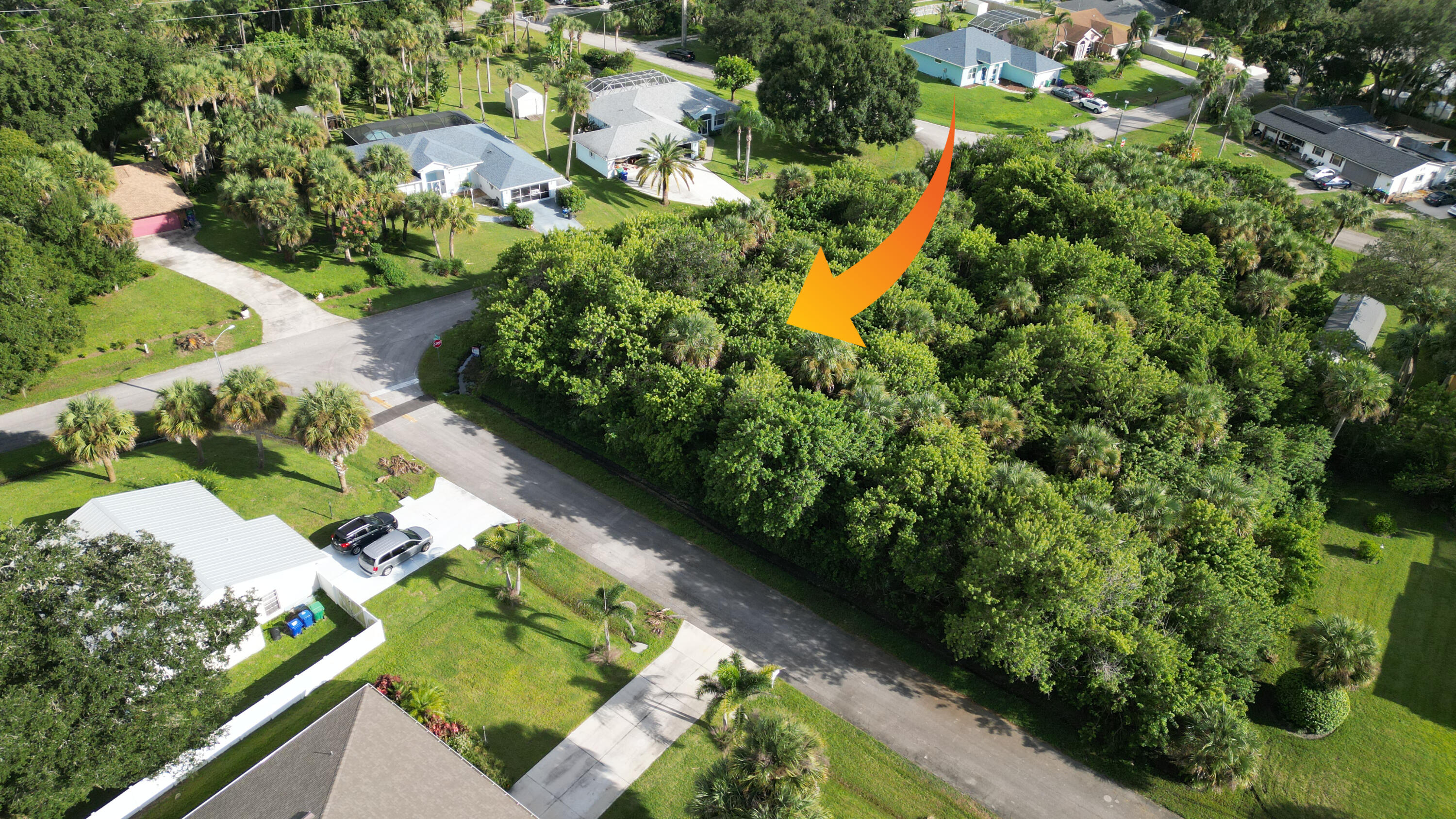 Wooded parcel featuring dense mature trees, native vegetation, and direct street access