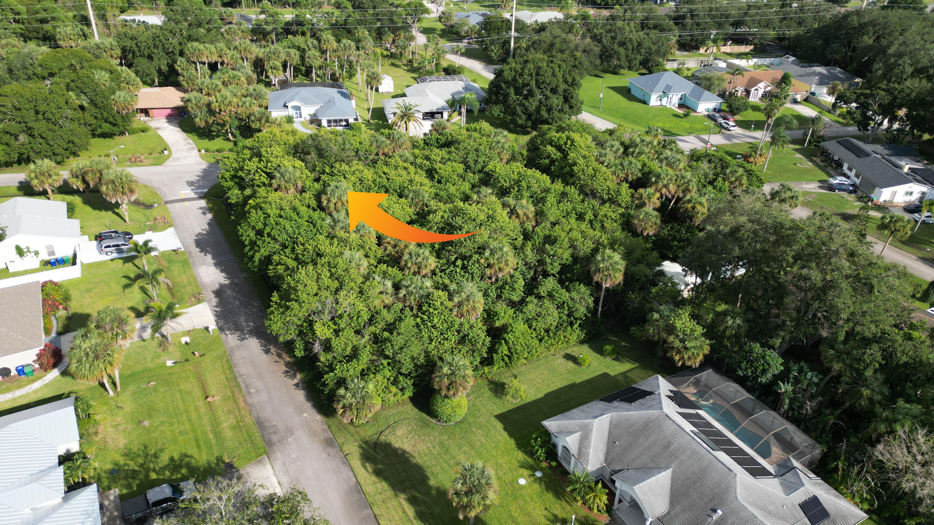 Wooded lot featuring mature trees and established palms