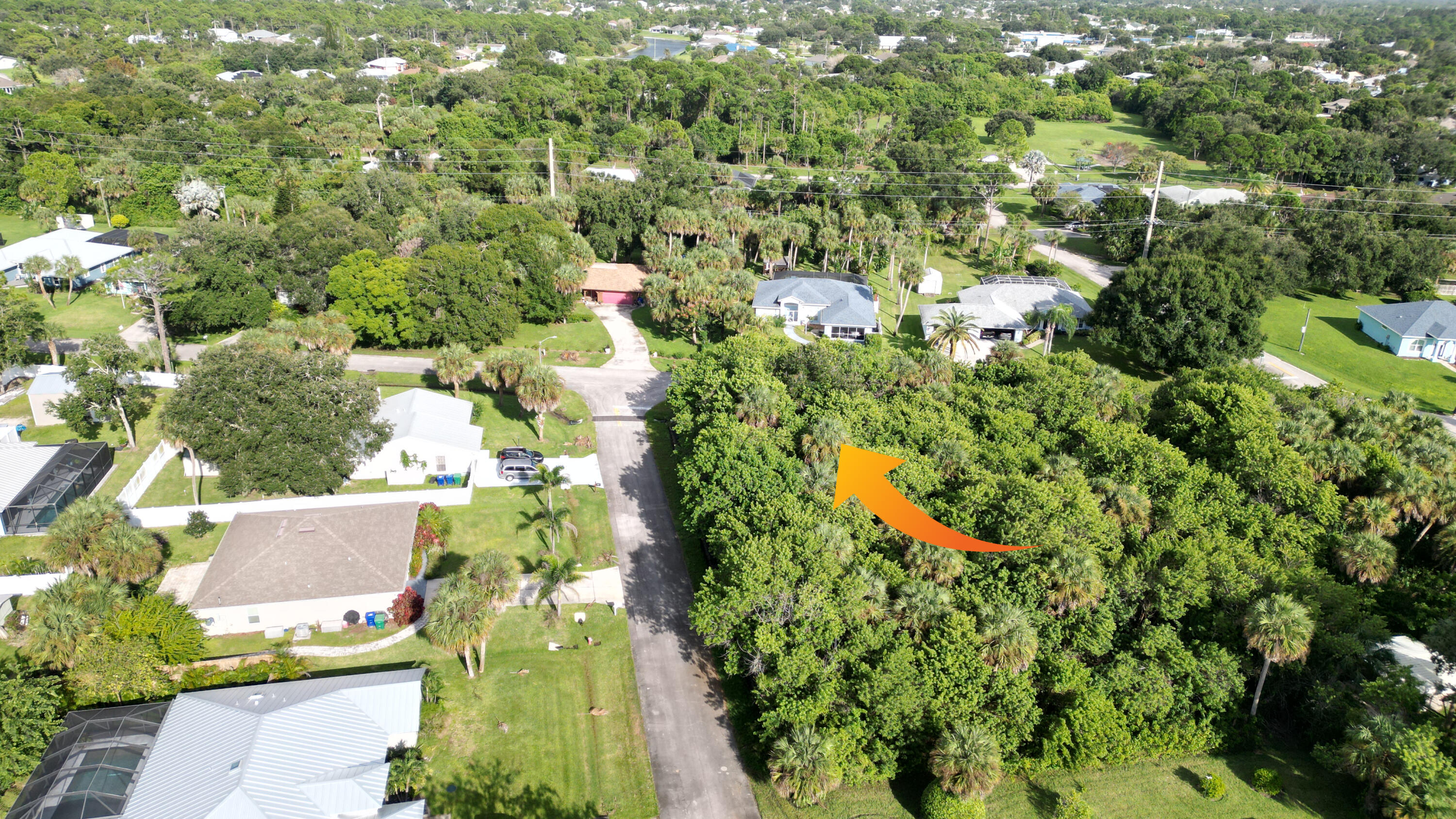 Wooded lot featuring mature trees and established vegetation