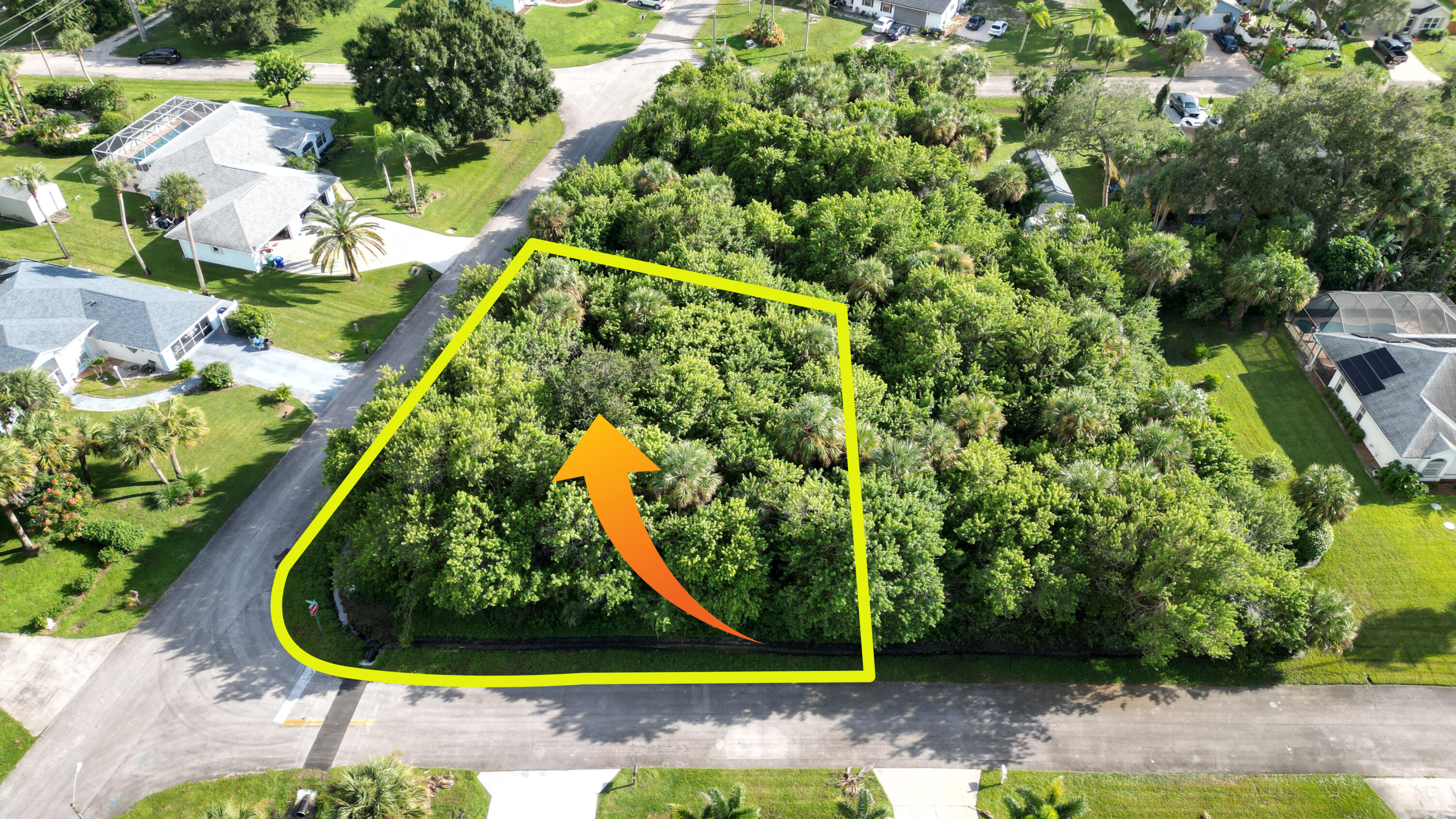 Corner lot featuring mature trees and dense native vegetation with paved street access