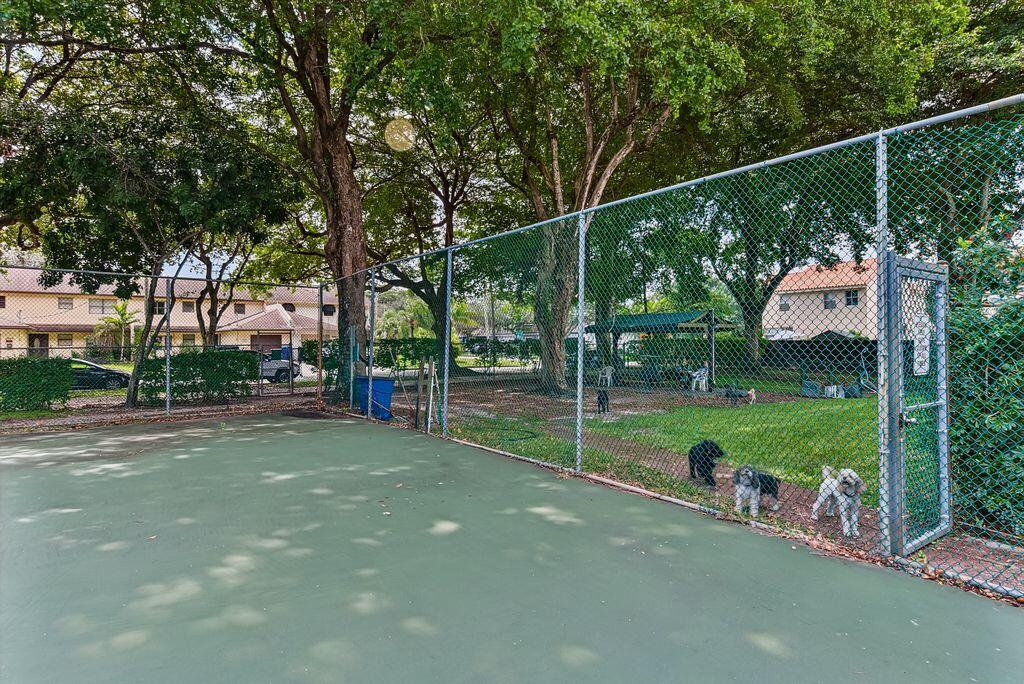 Dog Park