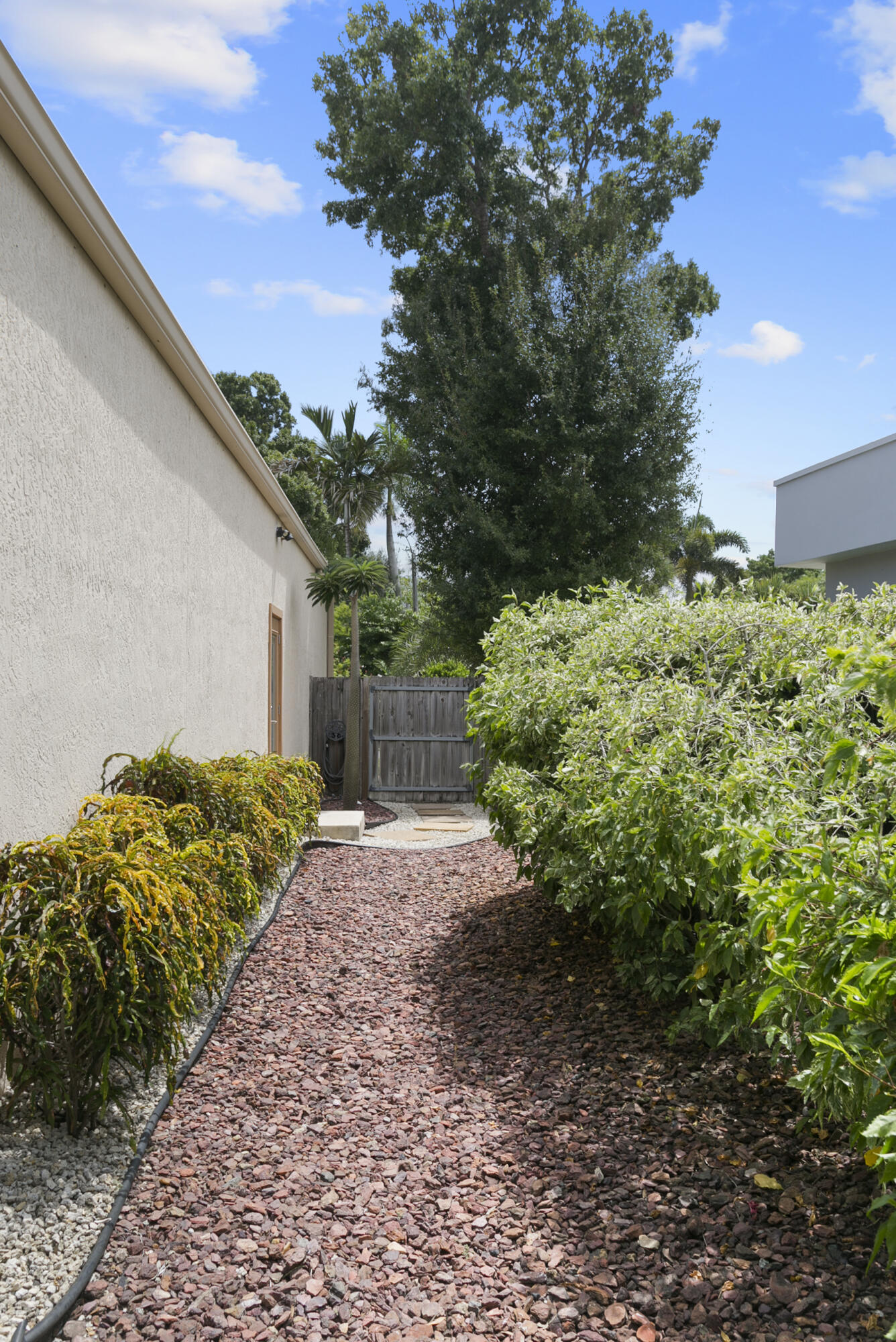 Yard