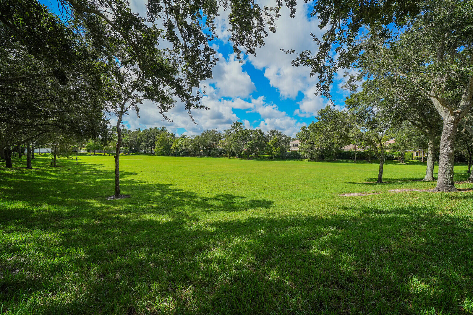 Green space
