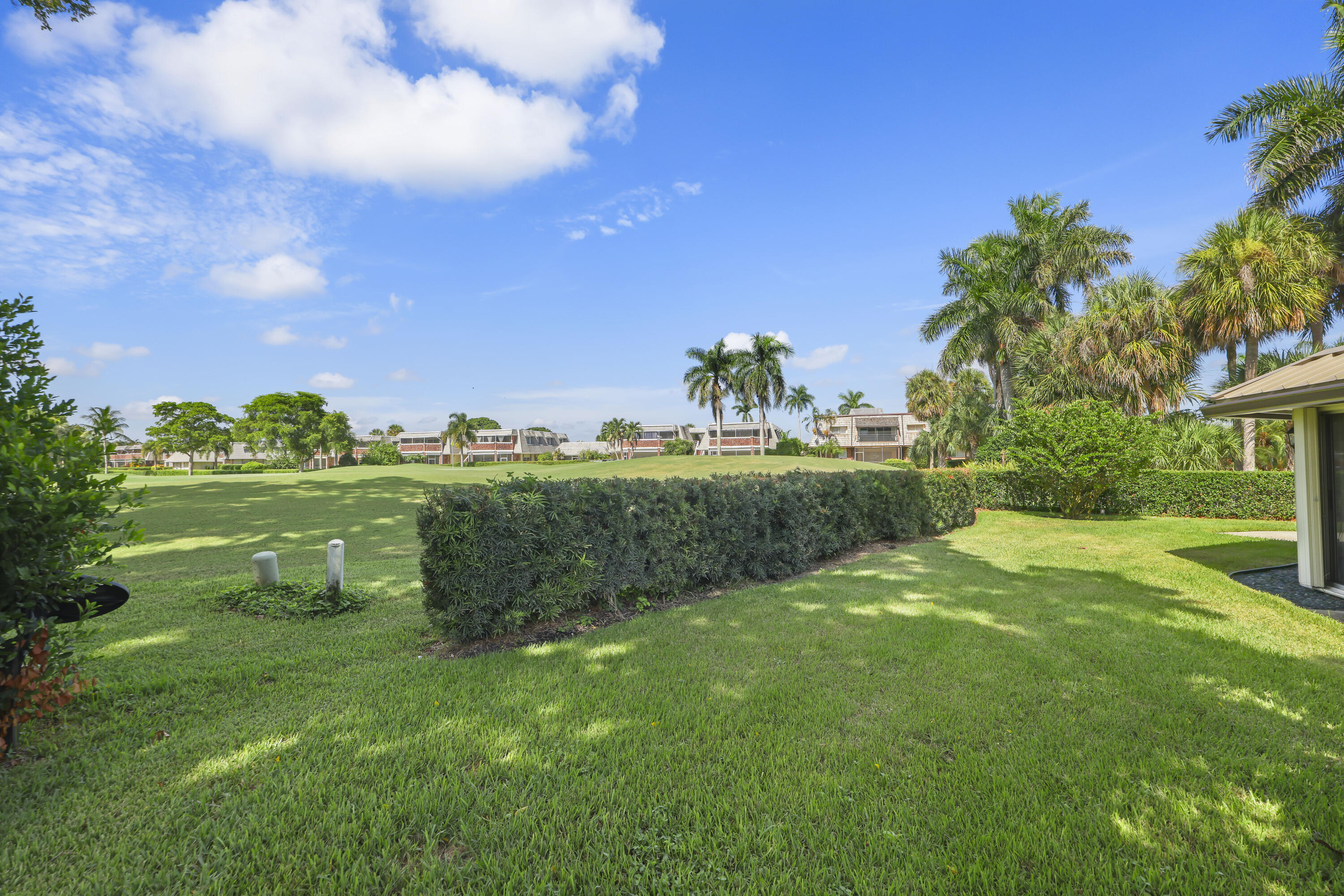 Expansive grassy lawn featuring manicured hedging, mature palm trees, and wide-open green space