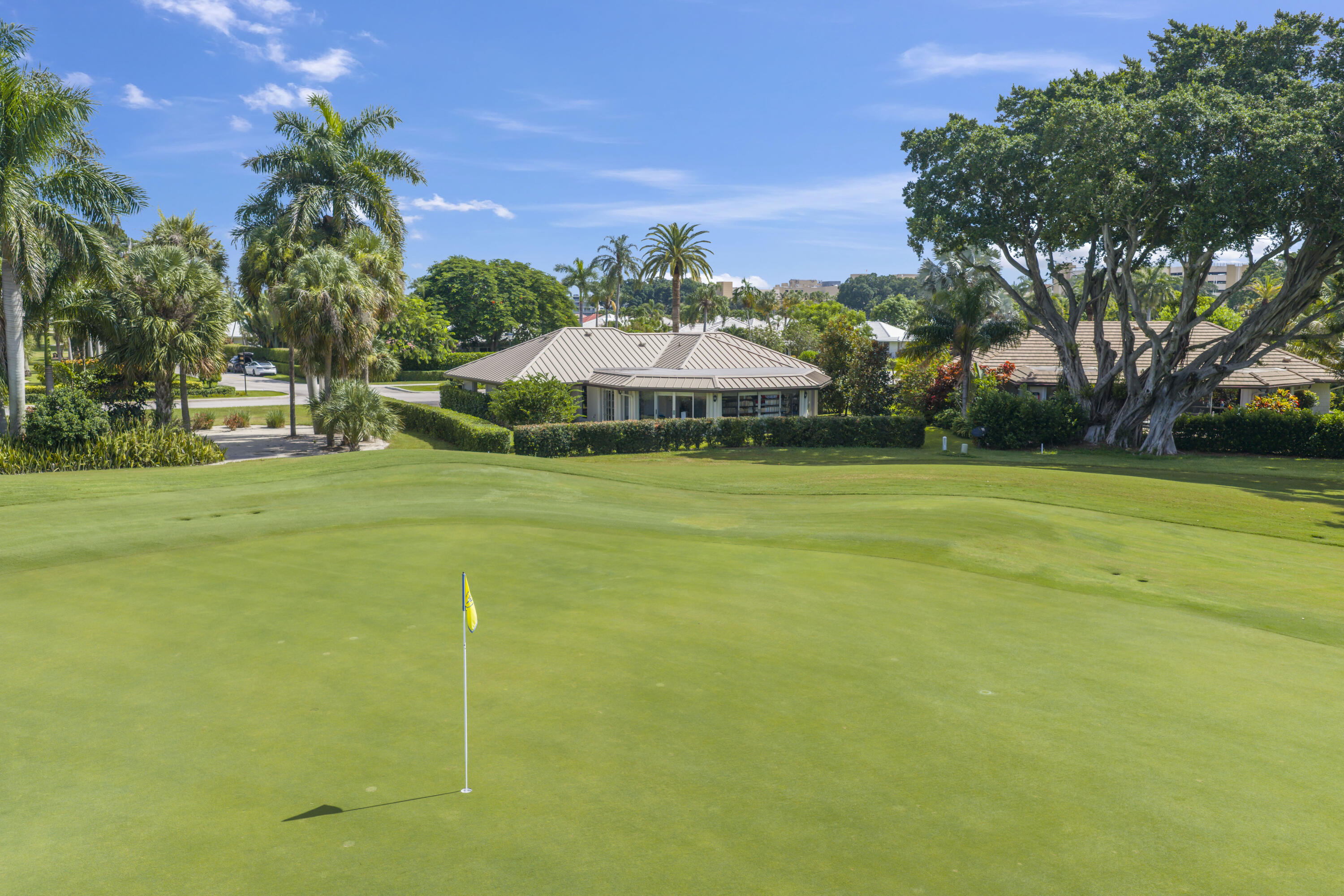 Expansive green space featuring manicured lawn, established palm trees, mature canopy trees, and golf course terrain