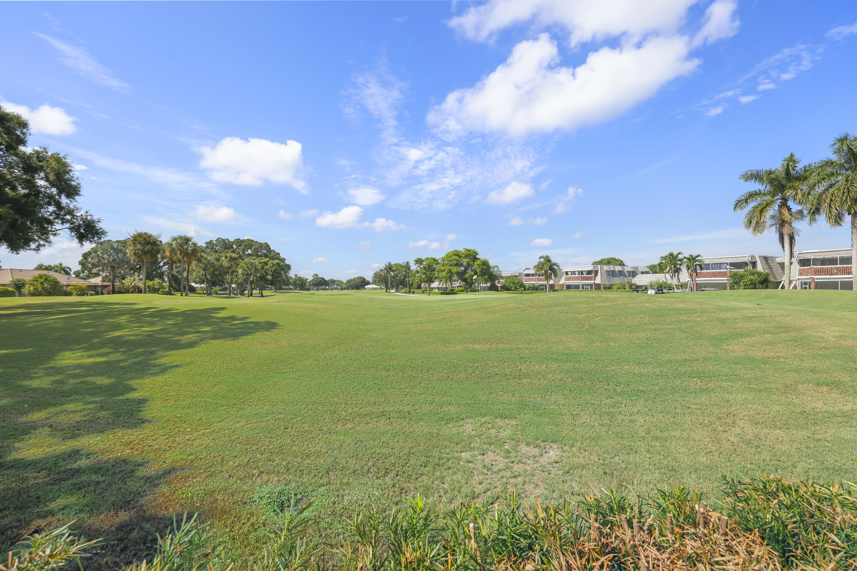 Expansive lawn featuring mature trees and established perimeter landscaping