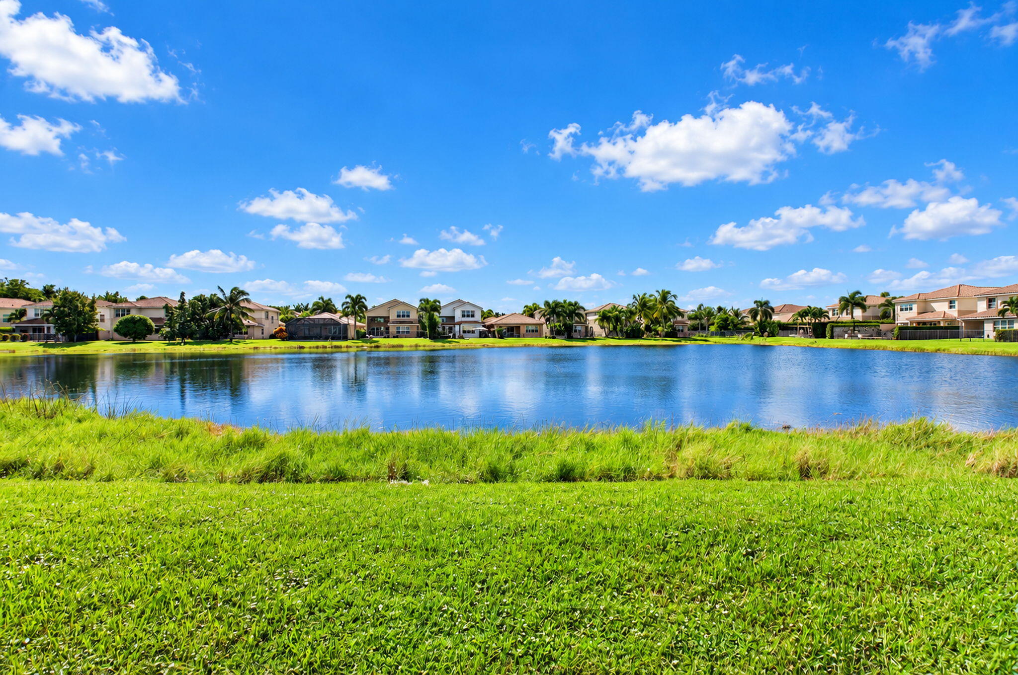 34-web-or-mls-DSC_8789