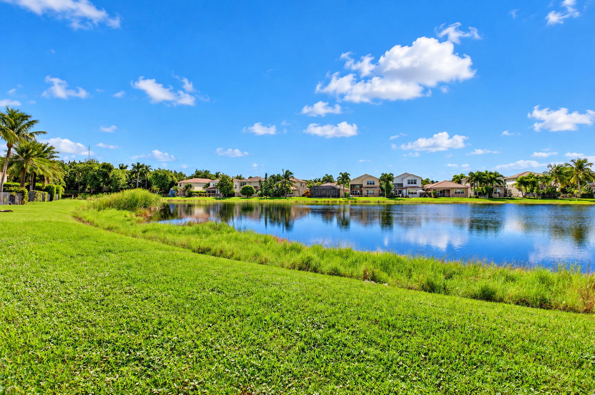 35-web-or-mls-DSC_8798