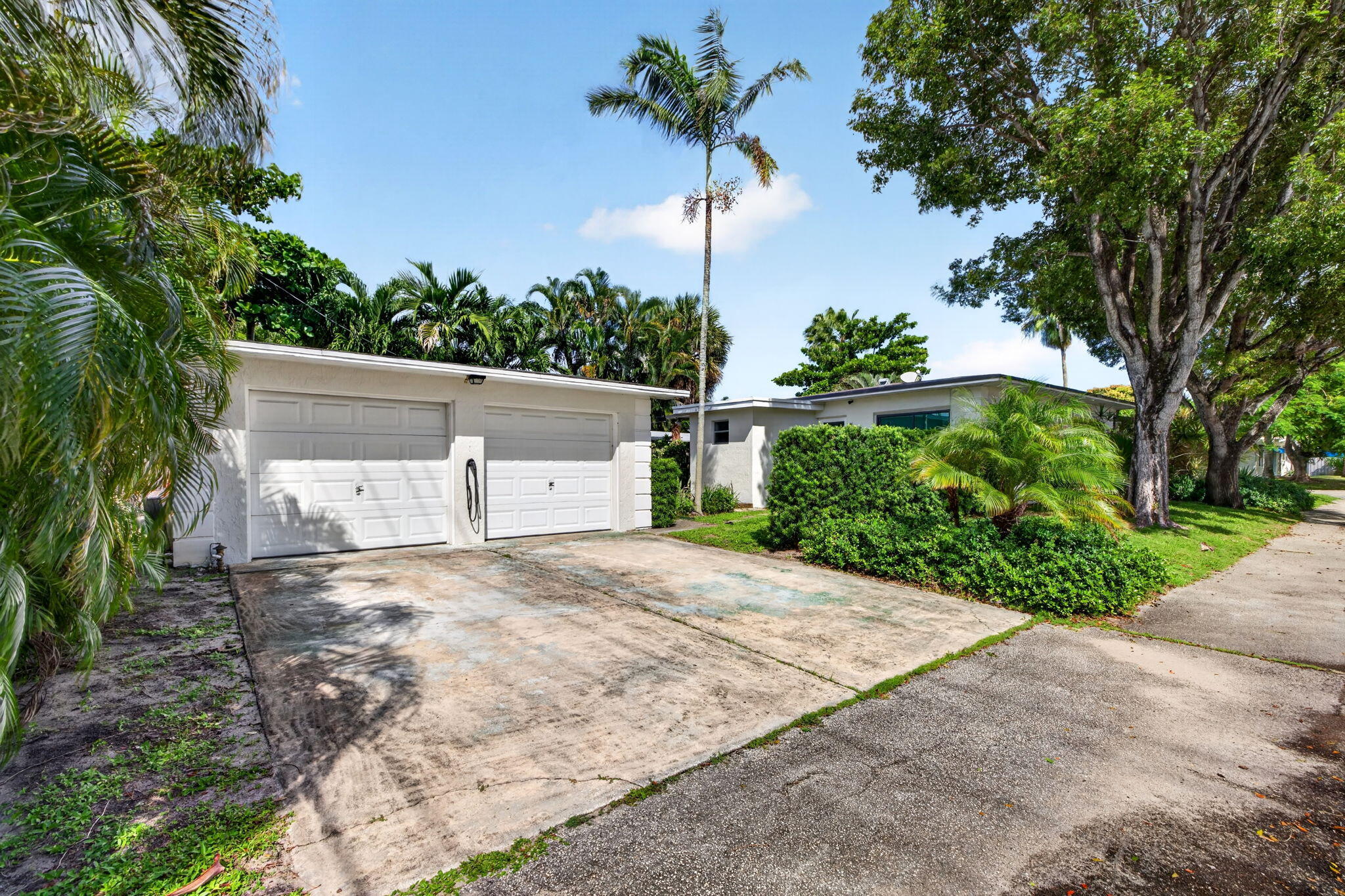 4-web-or-mls-699A2156 4-web-or-mls-699A2156