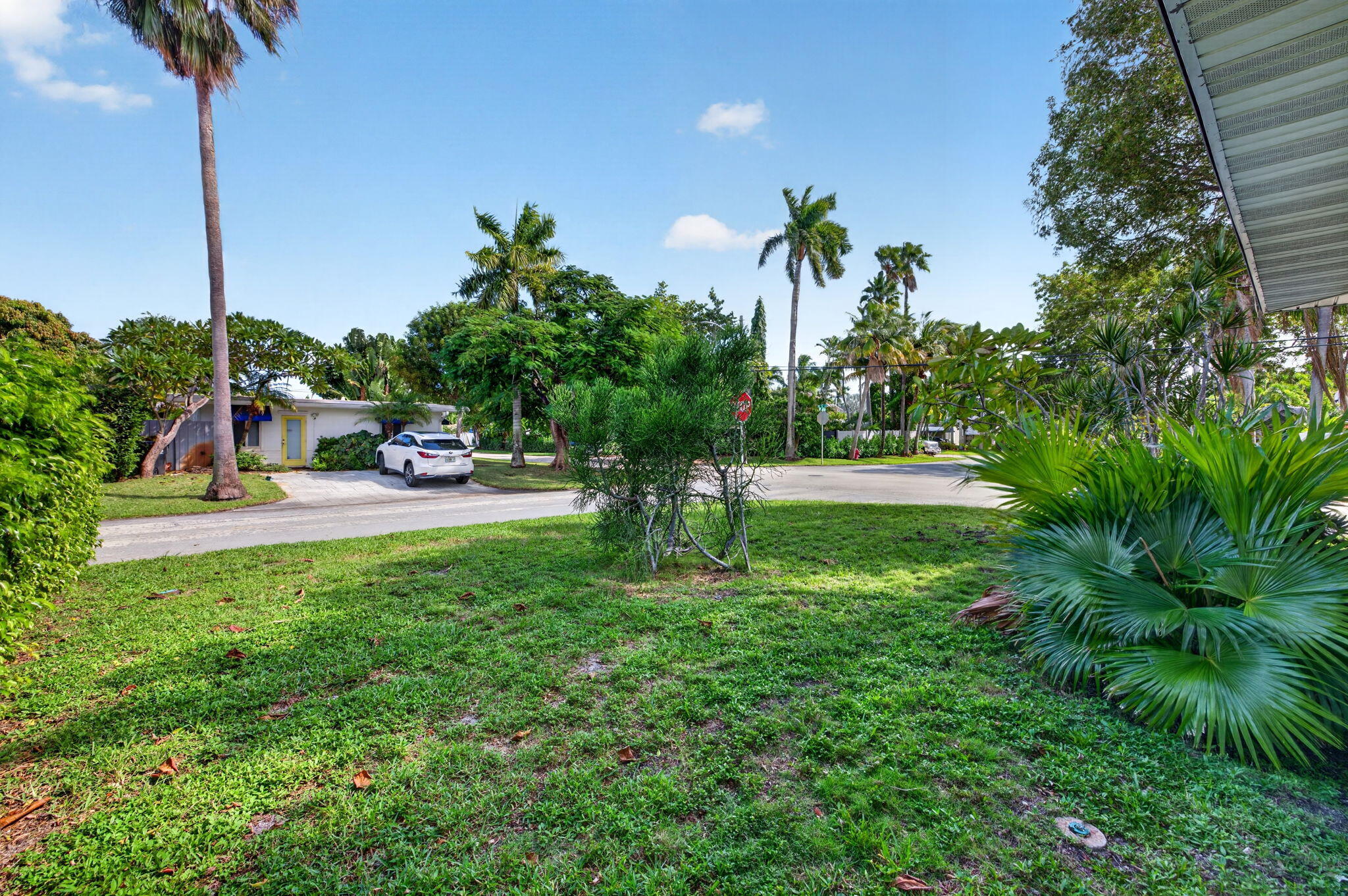 63-web-or-mls-699A2690