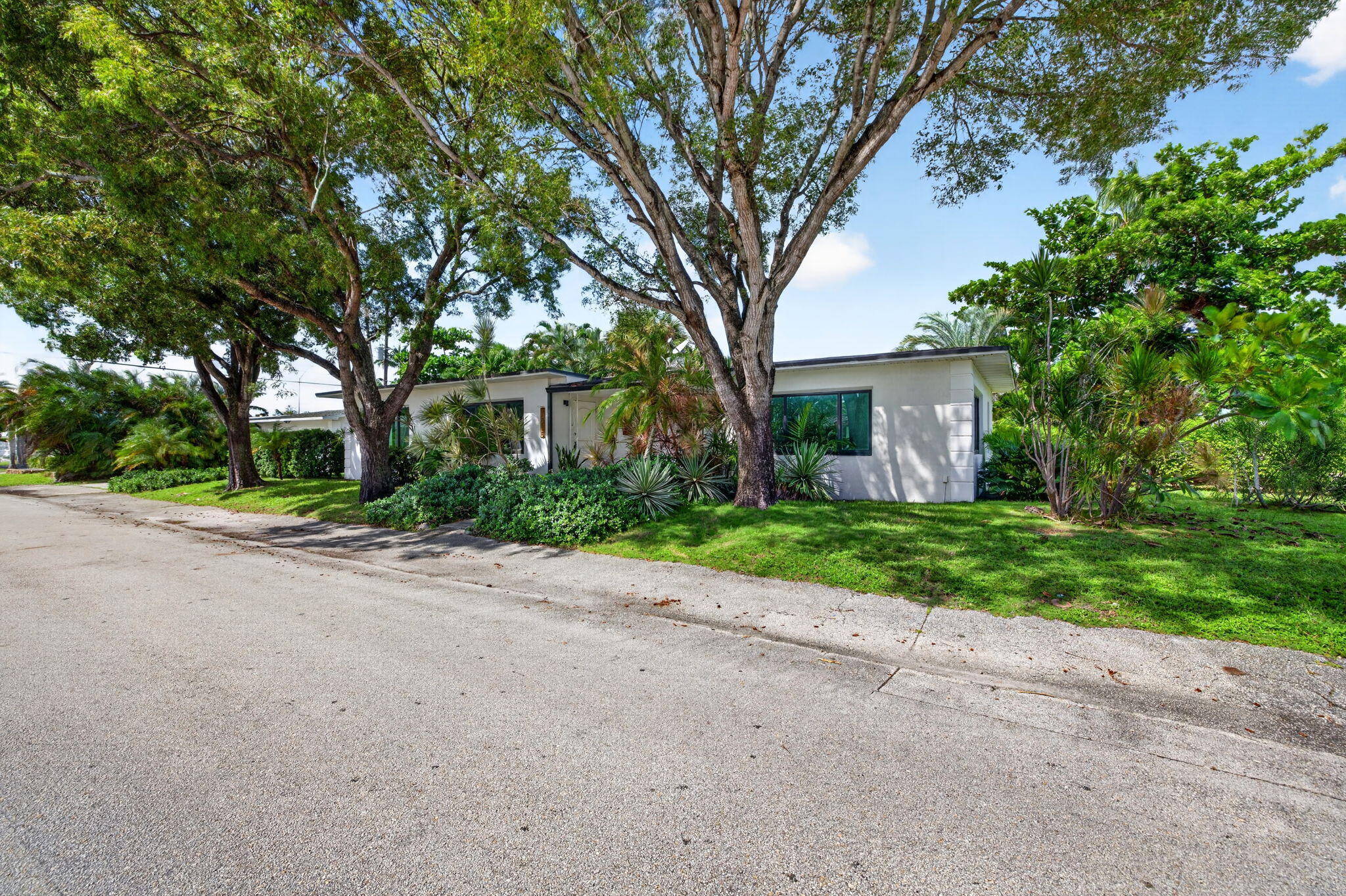 1-web-or-mls-699A2125 1-web-or-mls-699A2125