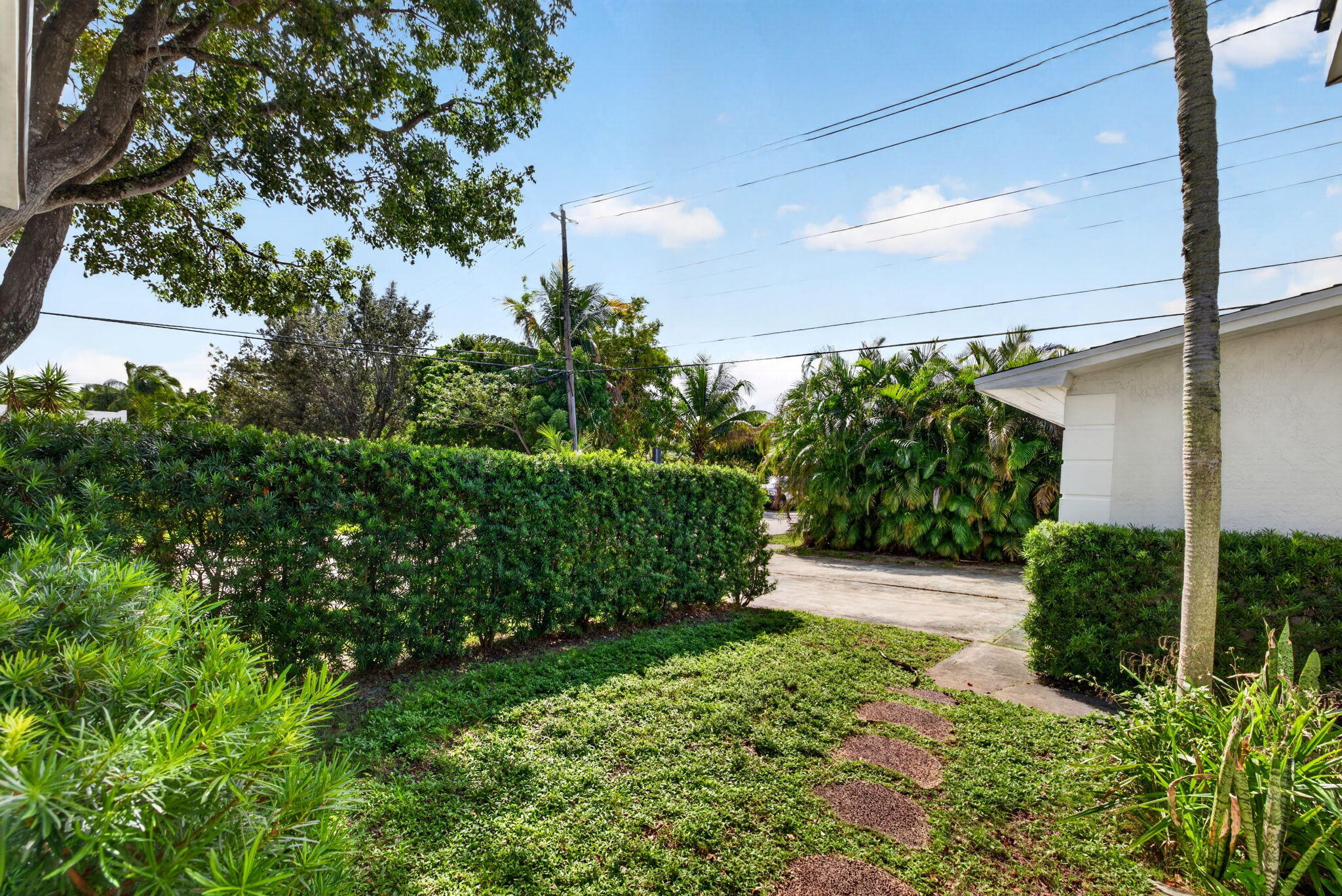 32-web-or-mls-699A2427