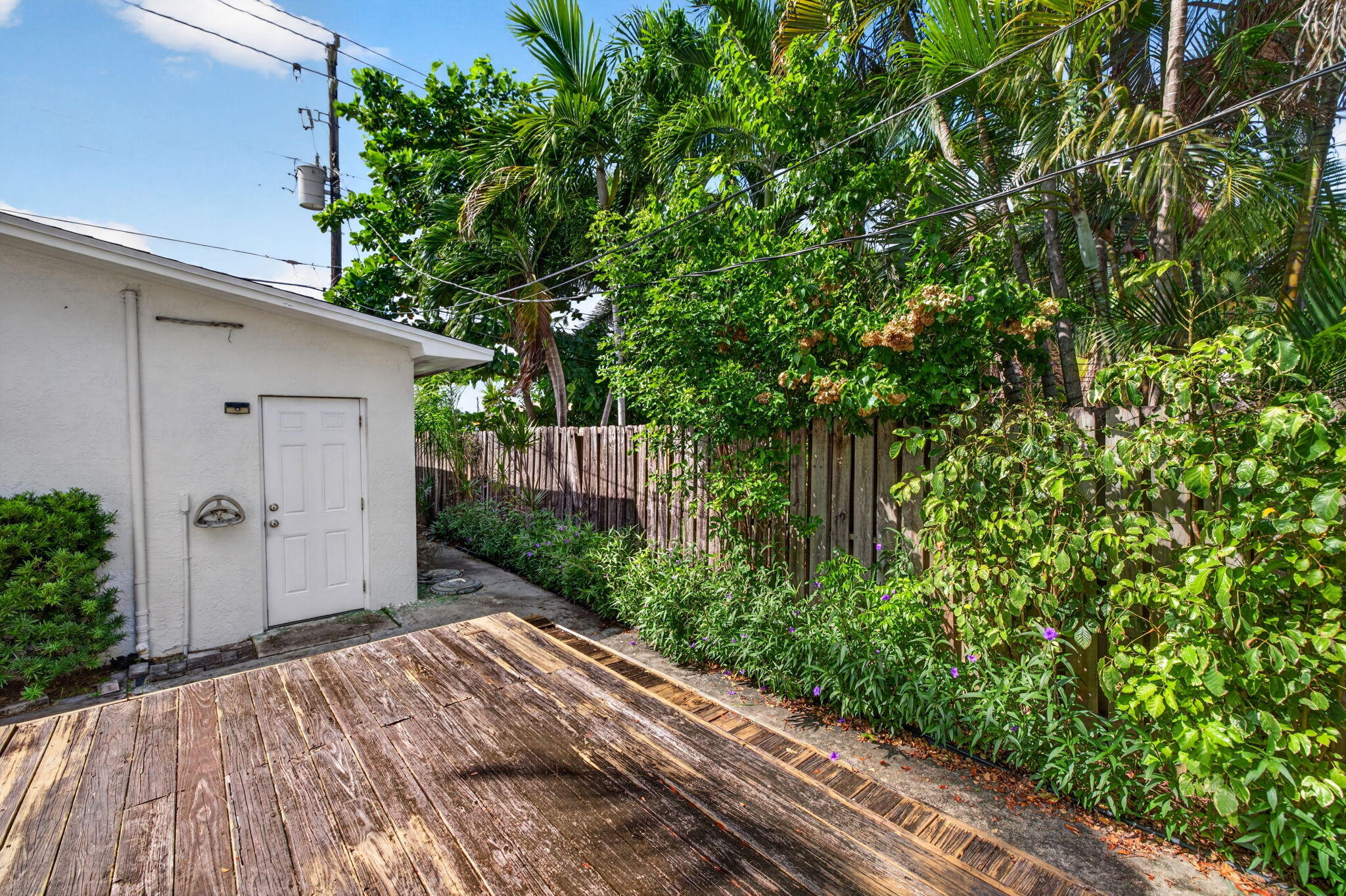 36-web-or-mls-699A2456
