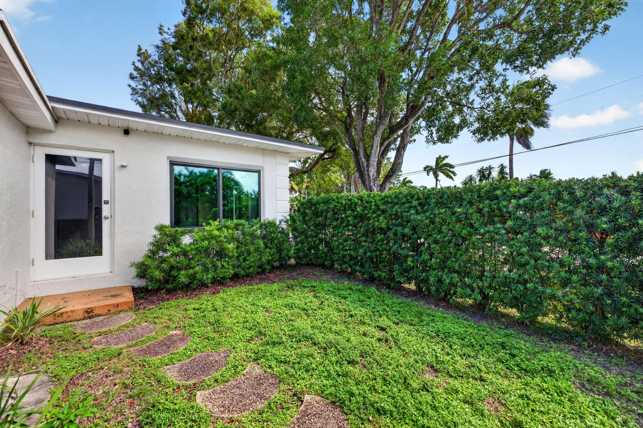 38-web-or-mls-699A2490