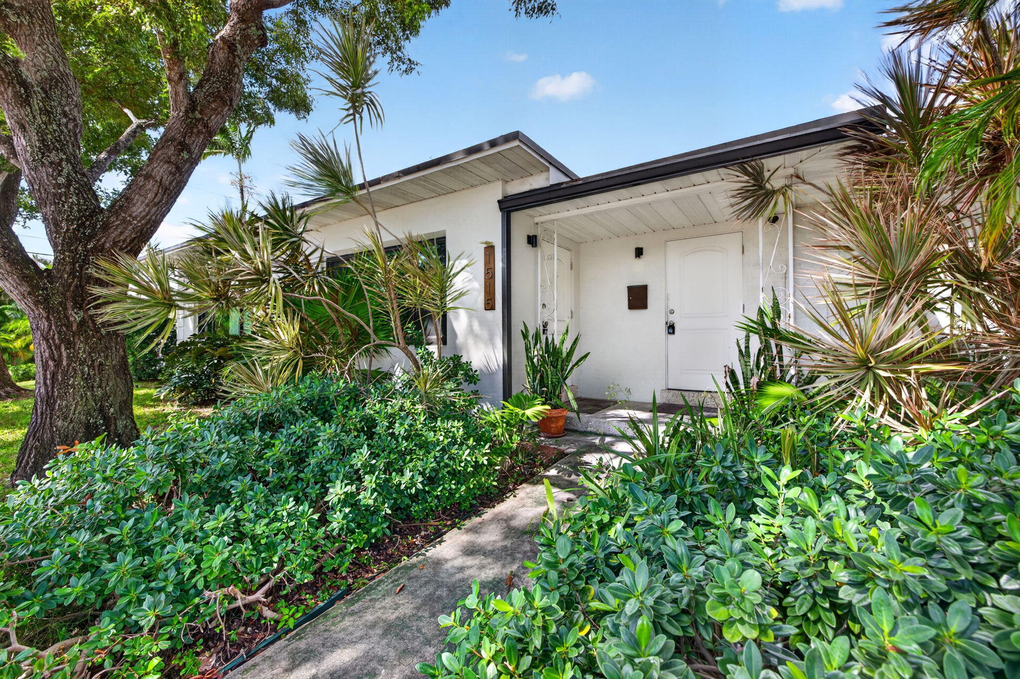 5-web-or-mls-699A2175 5-web-or-mls-699A2175