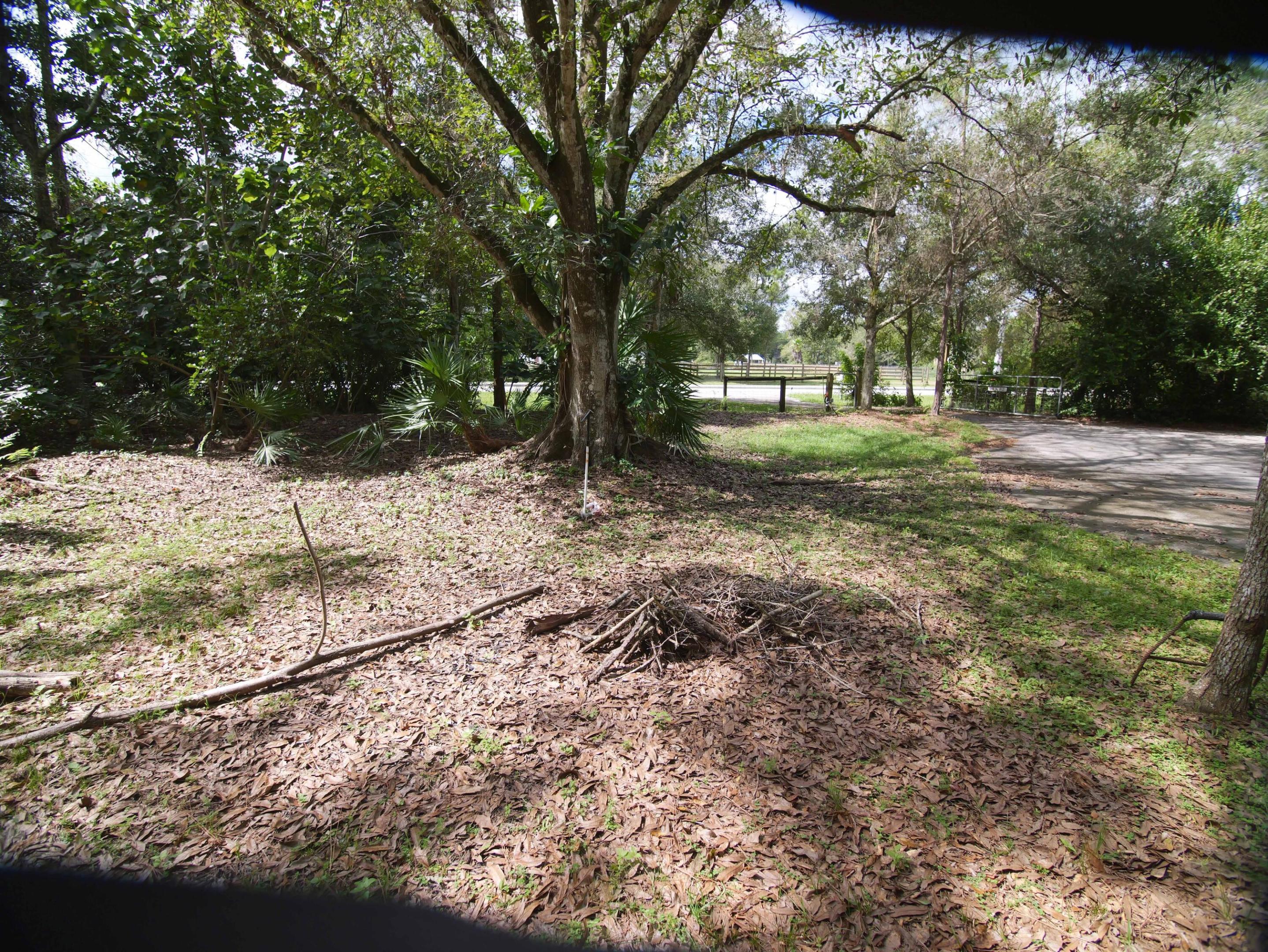 Looking towards 130th from Front door.