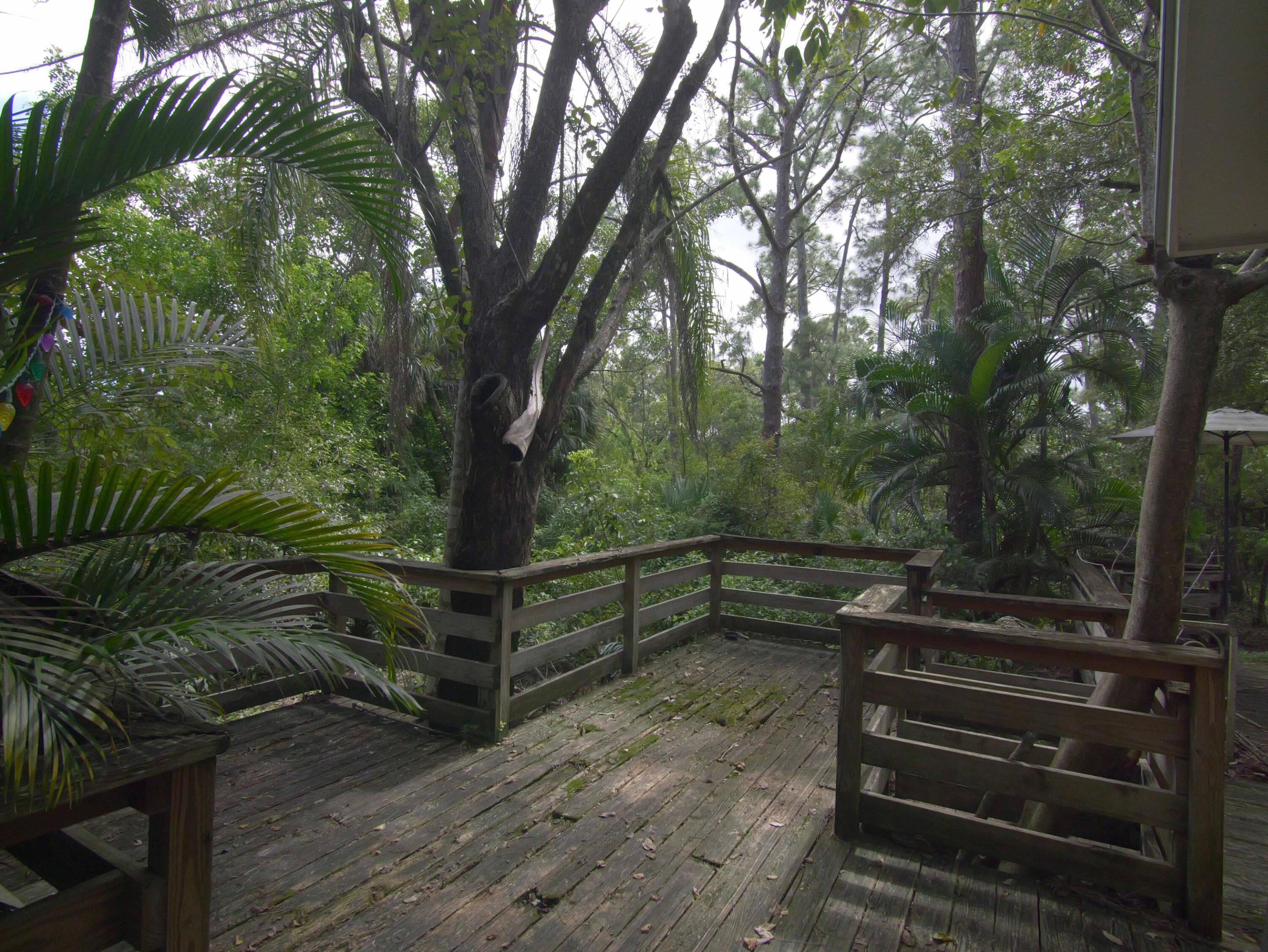 Decking nearly Surrounds the home