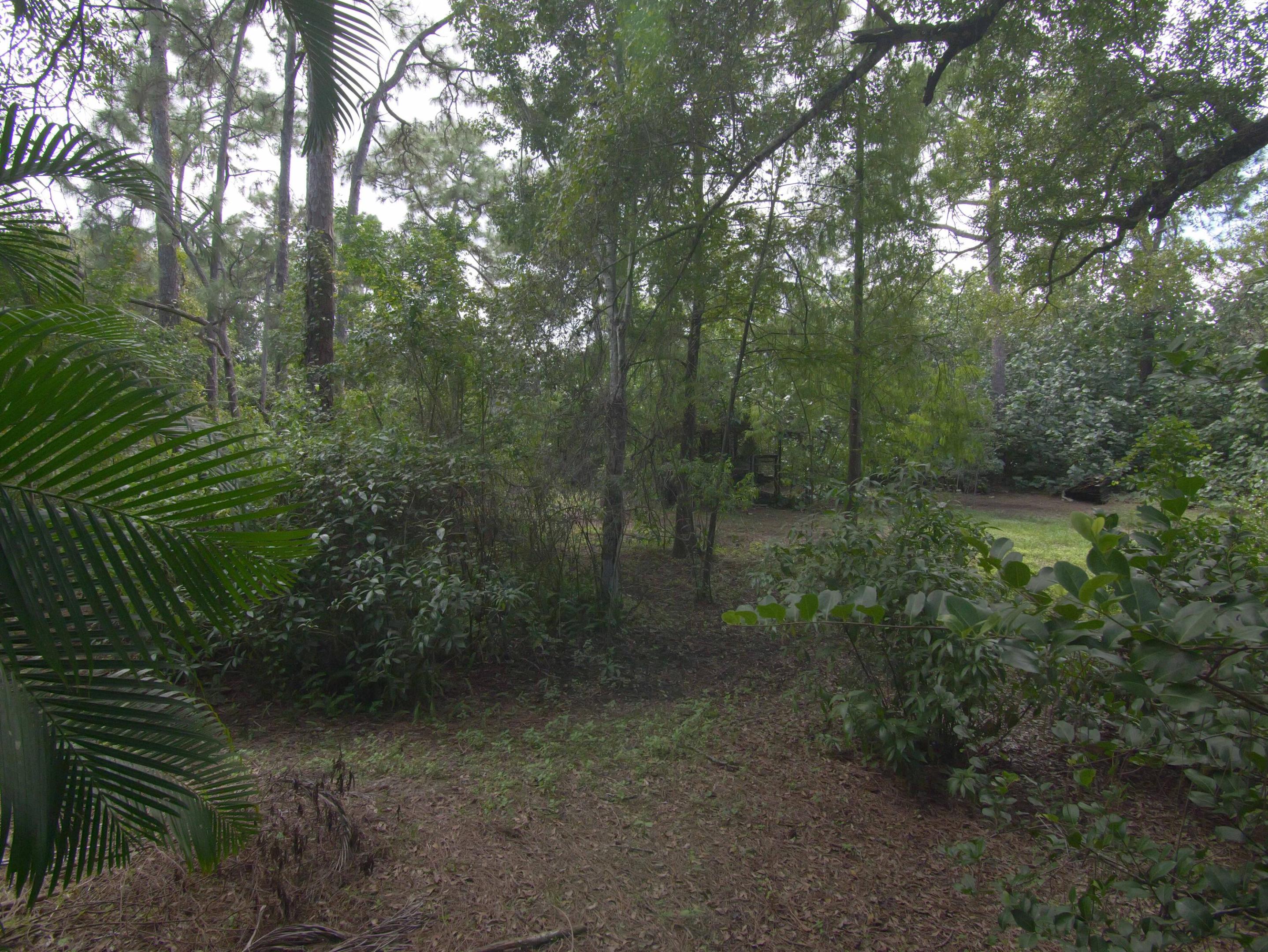 Scenic Mix of Natural & cleared spaces