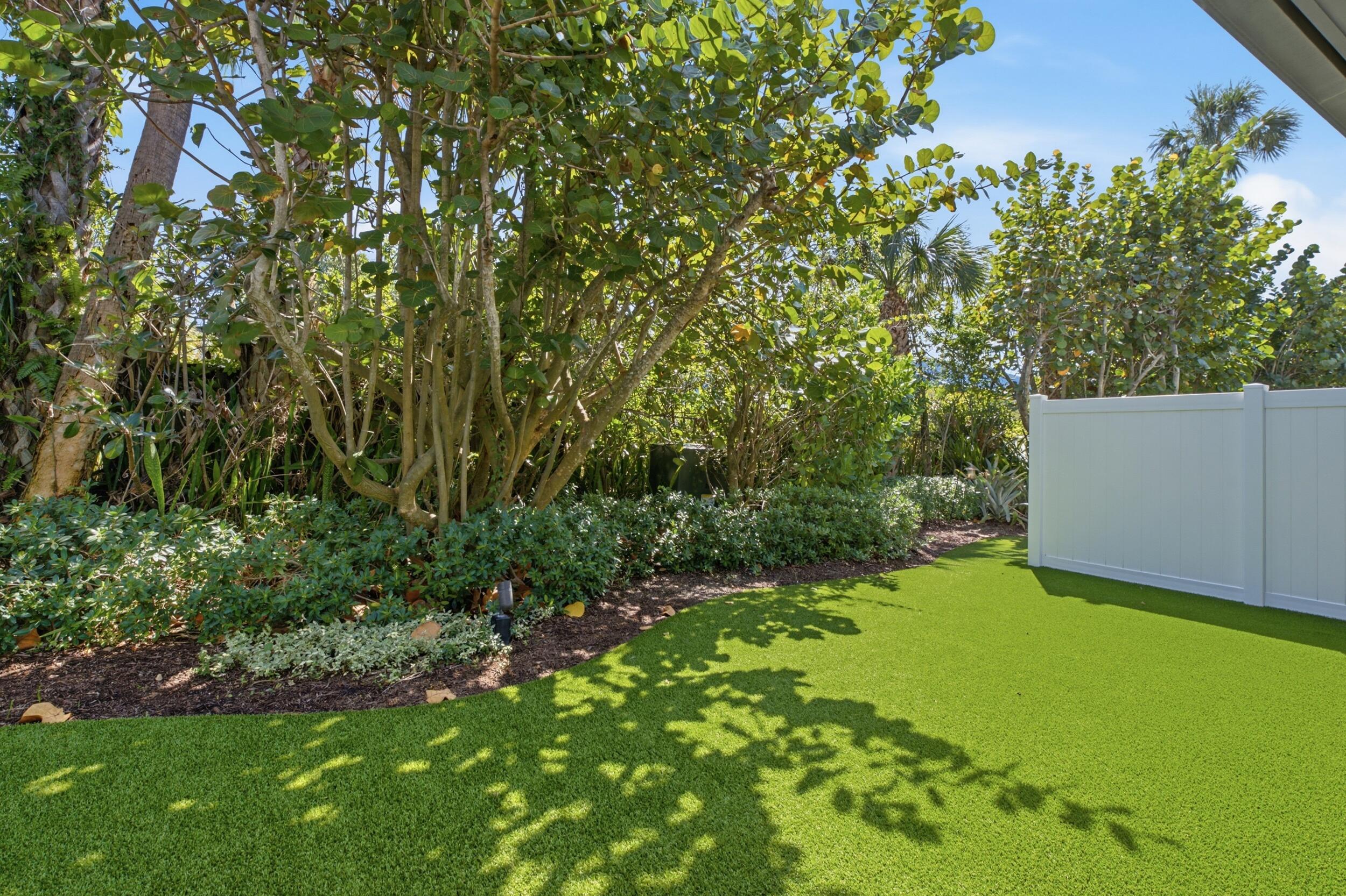Turf backyard