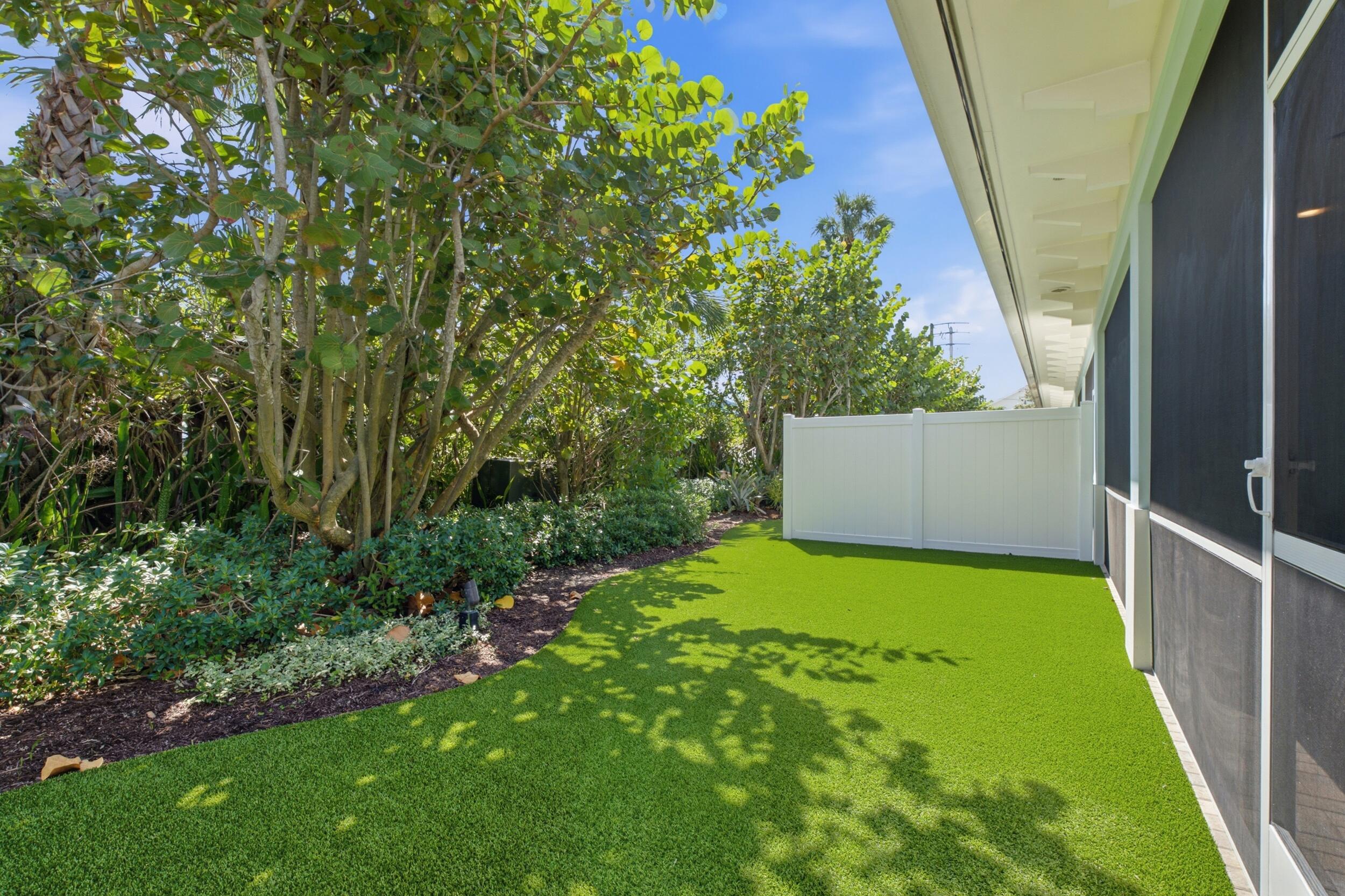 Turf backyard