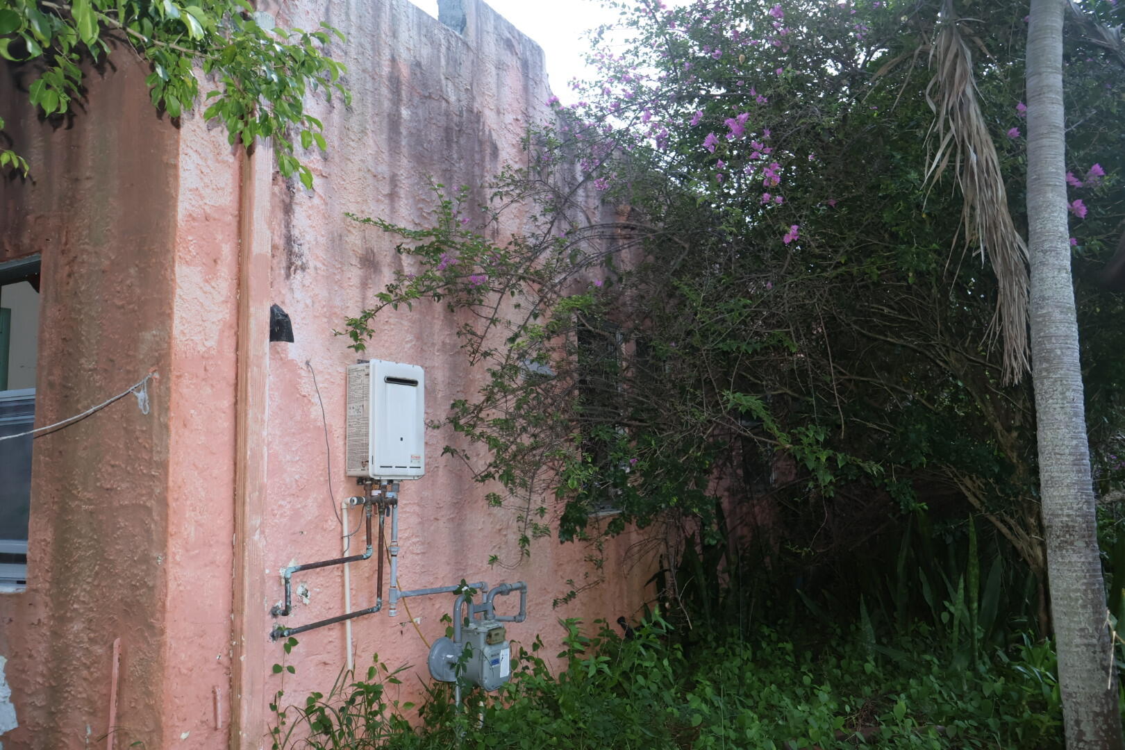 Side Wall of House