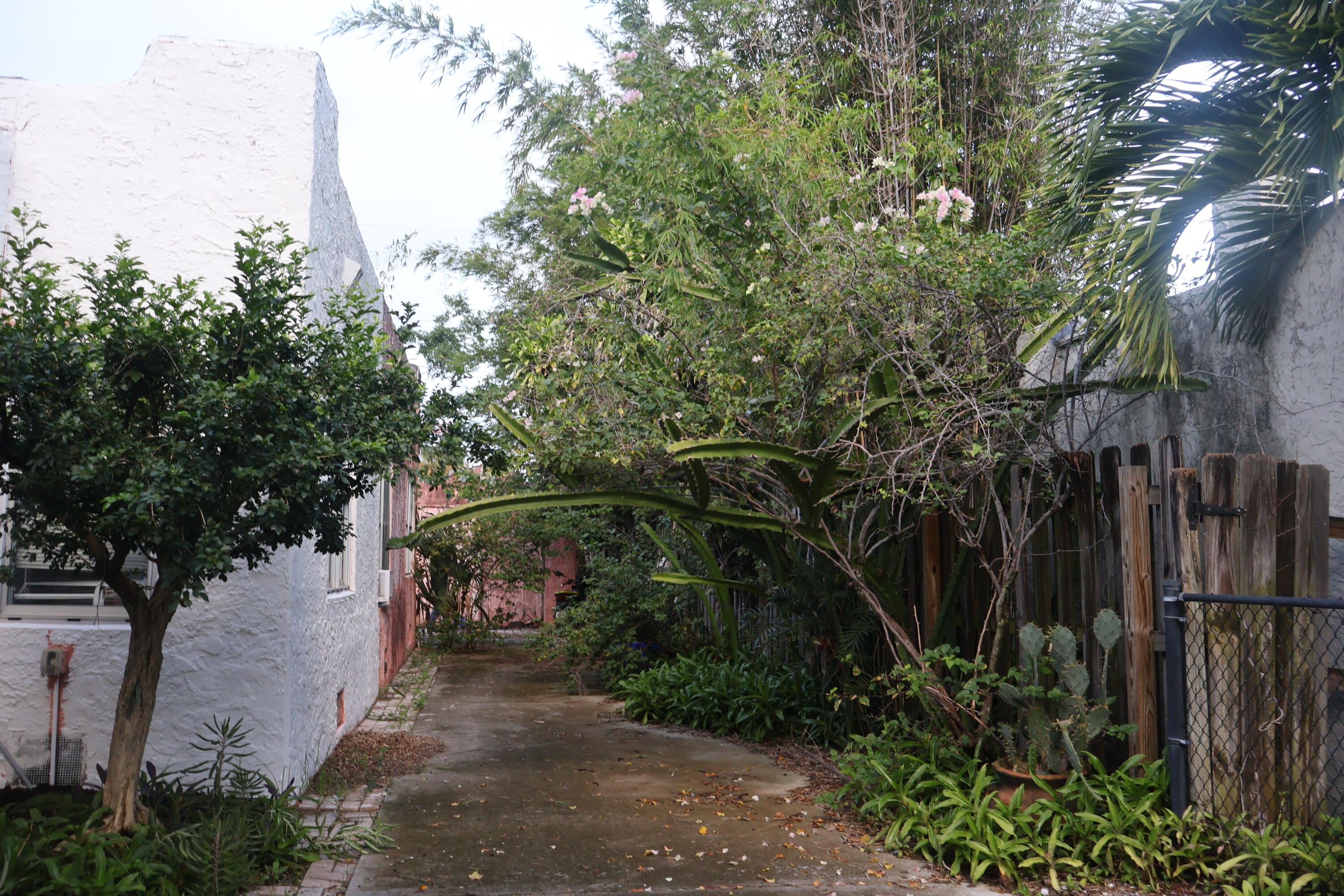 Driveway and Walkway Driveway and Walkway