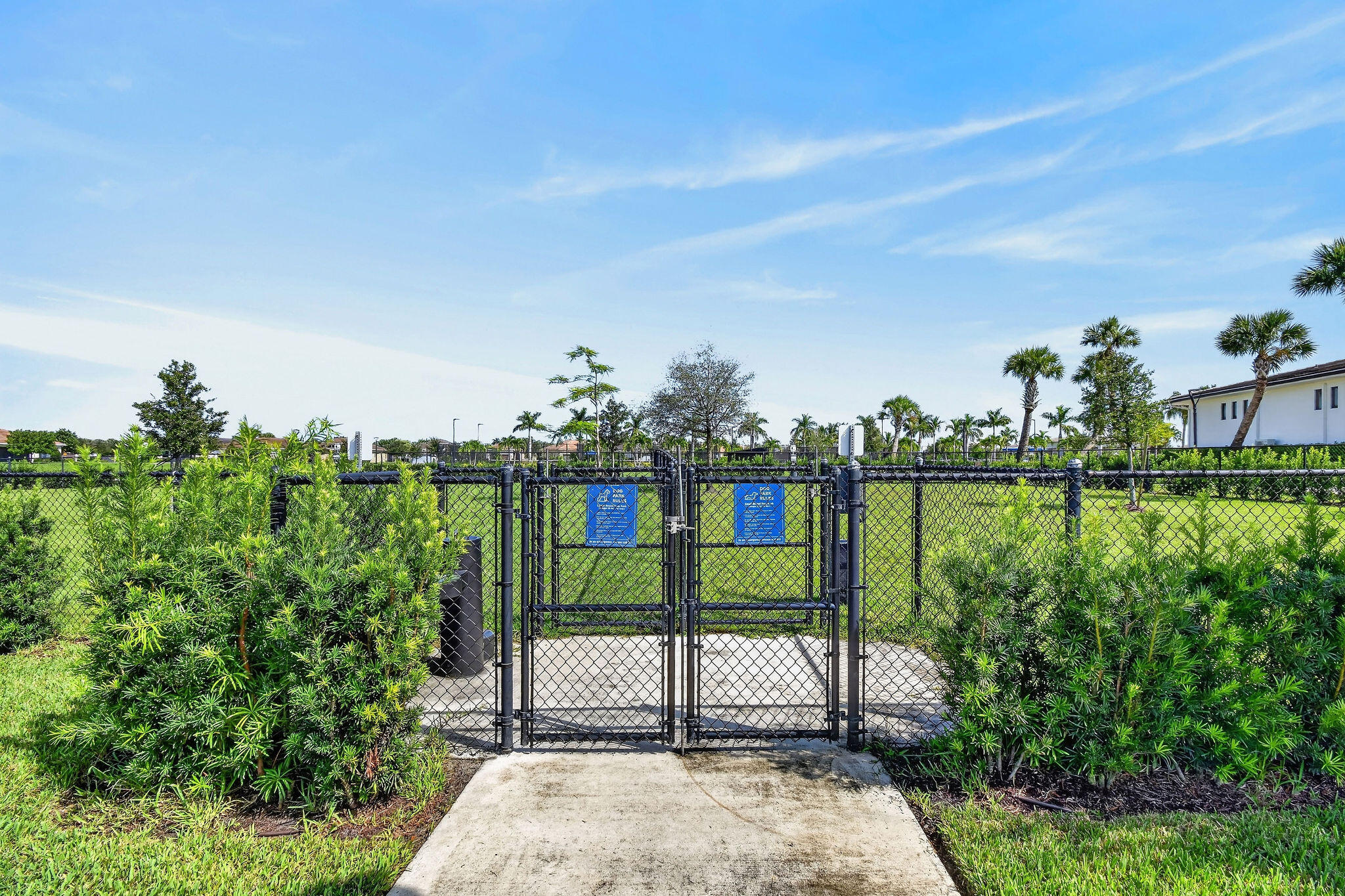 Fenced recreational area with a chain-link perimeter, established landscaping, and a concrete pathway