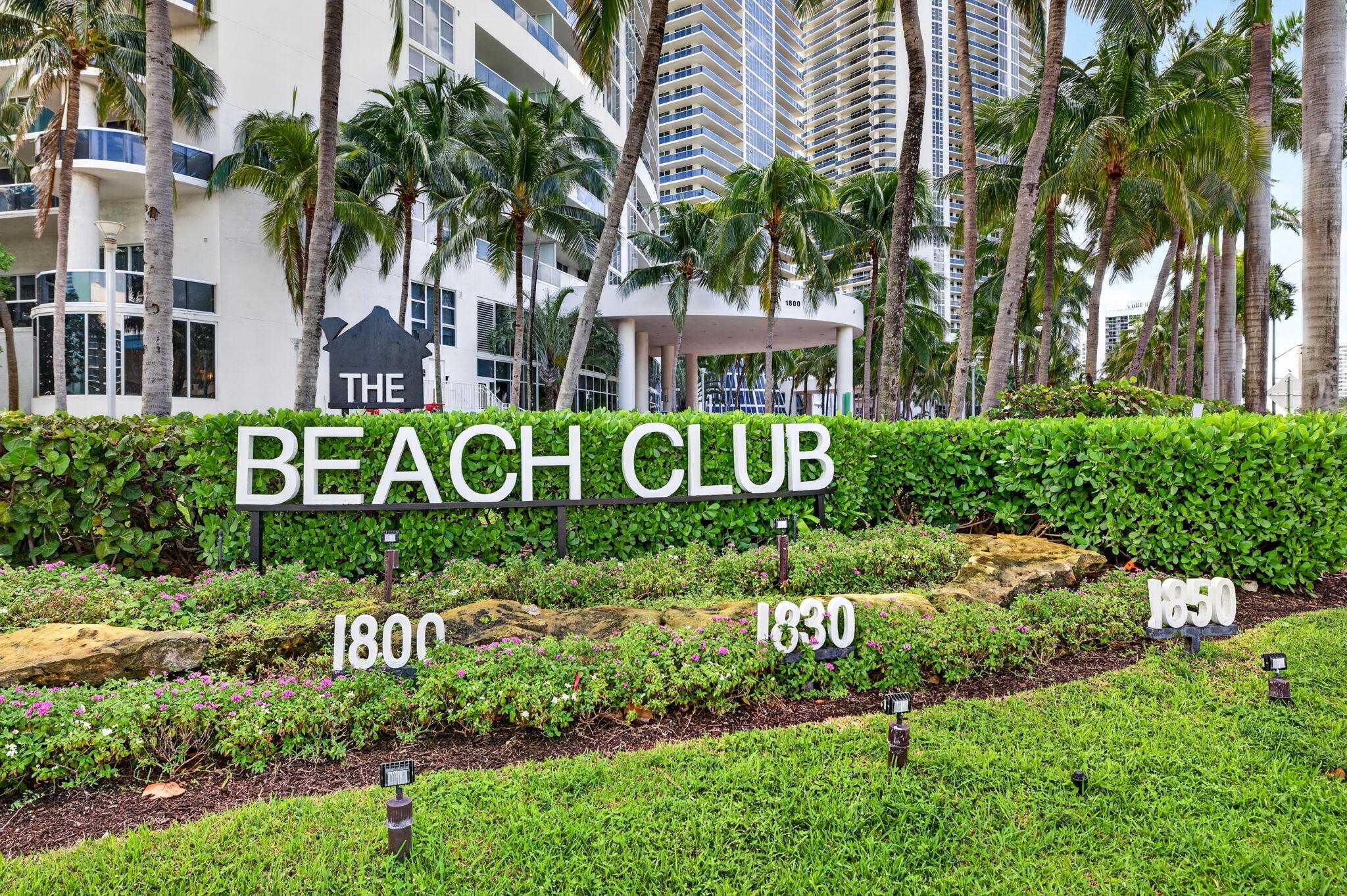 Barbuzzi 38 -web-or-mls-699A5065