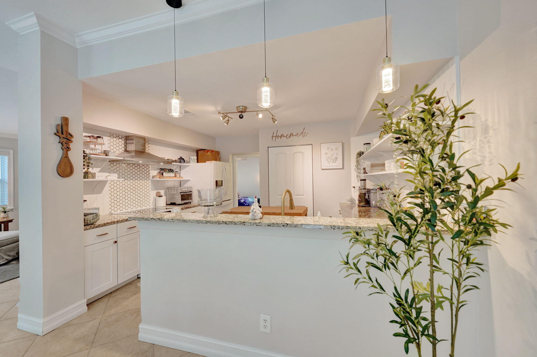 29-web-or-mls-DSC04668