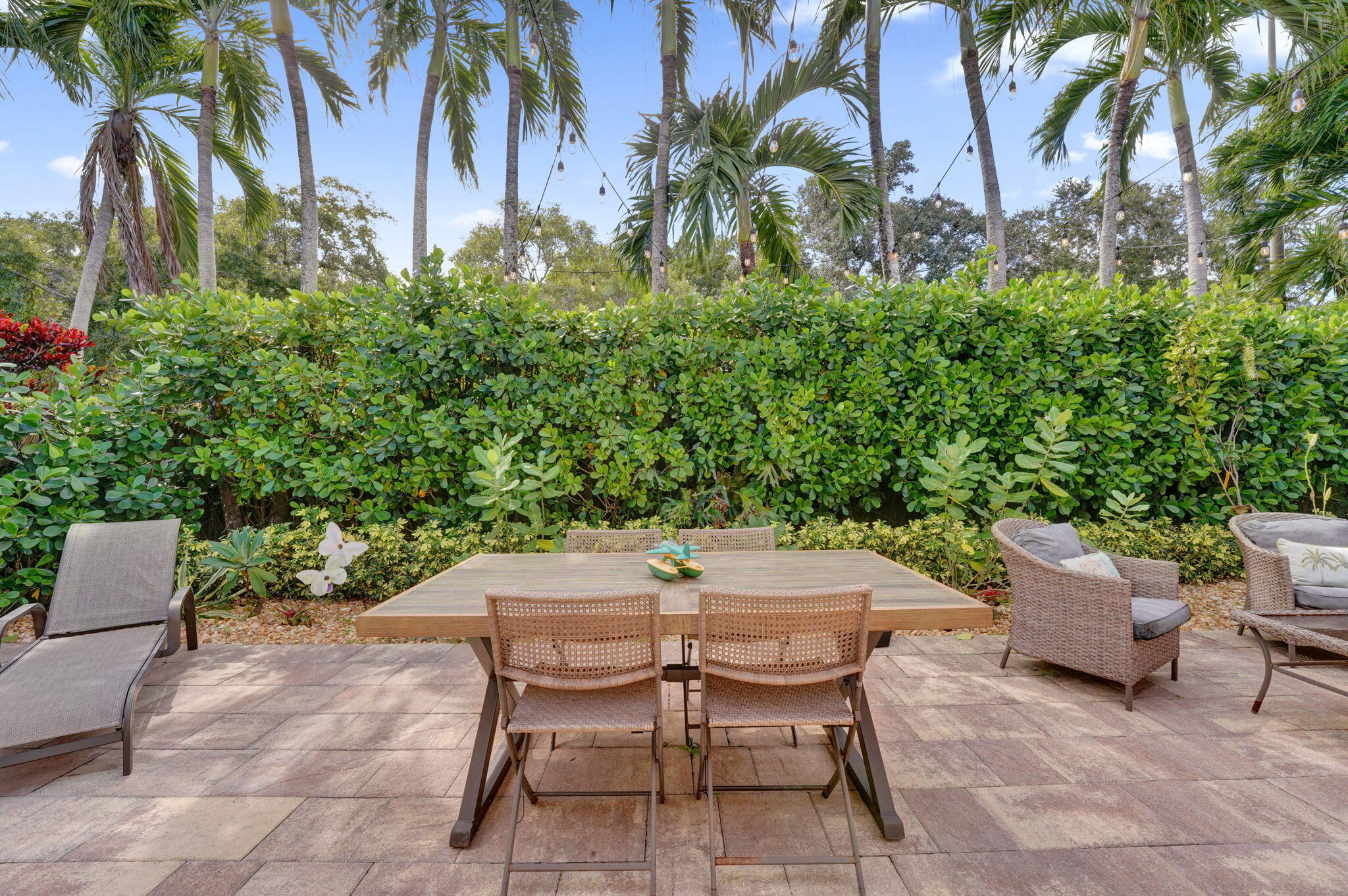 72-web-or-mls-DSC04797