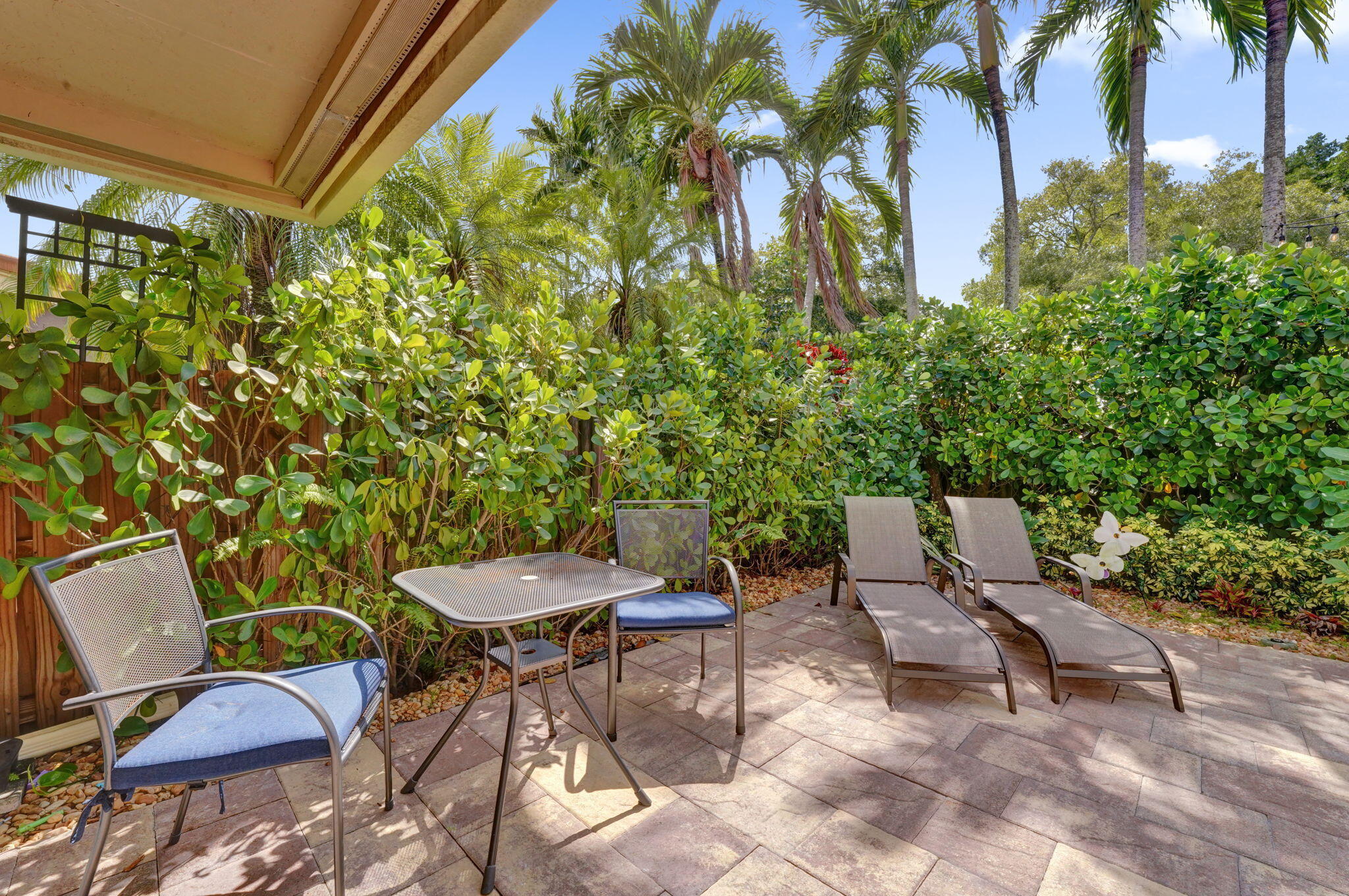 68-web-or-mls-DSC04785