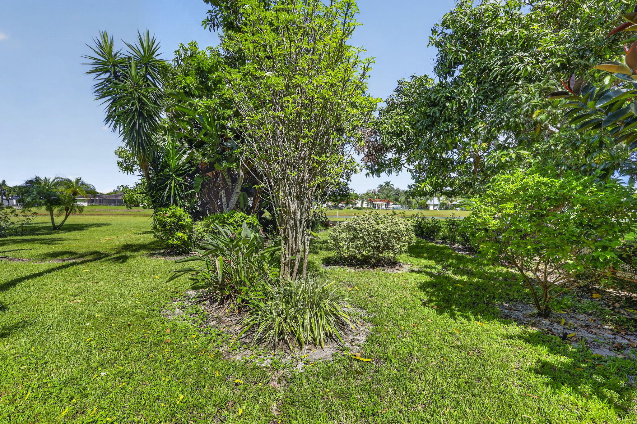 34-web-or-mls-8I8A2713