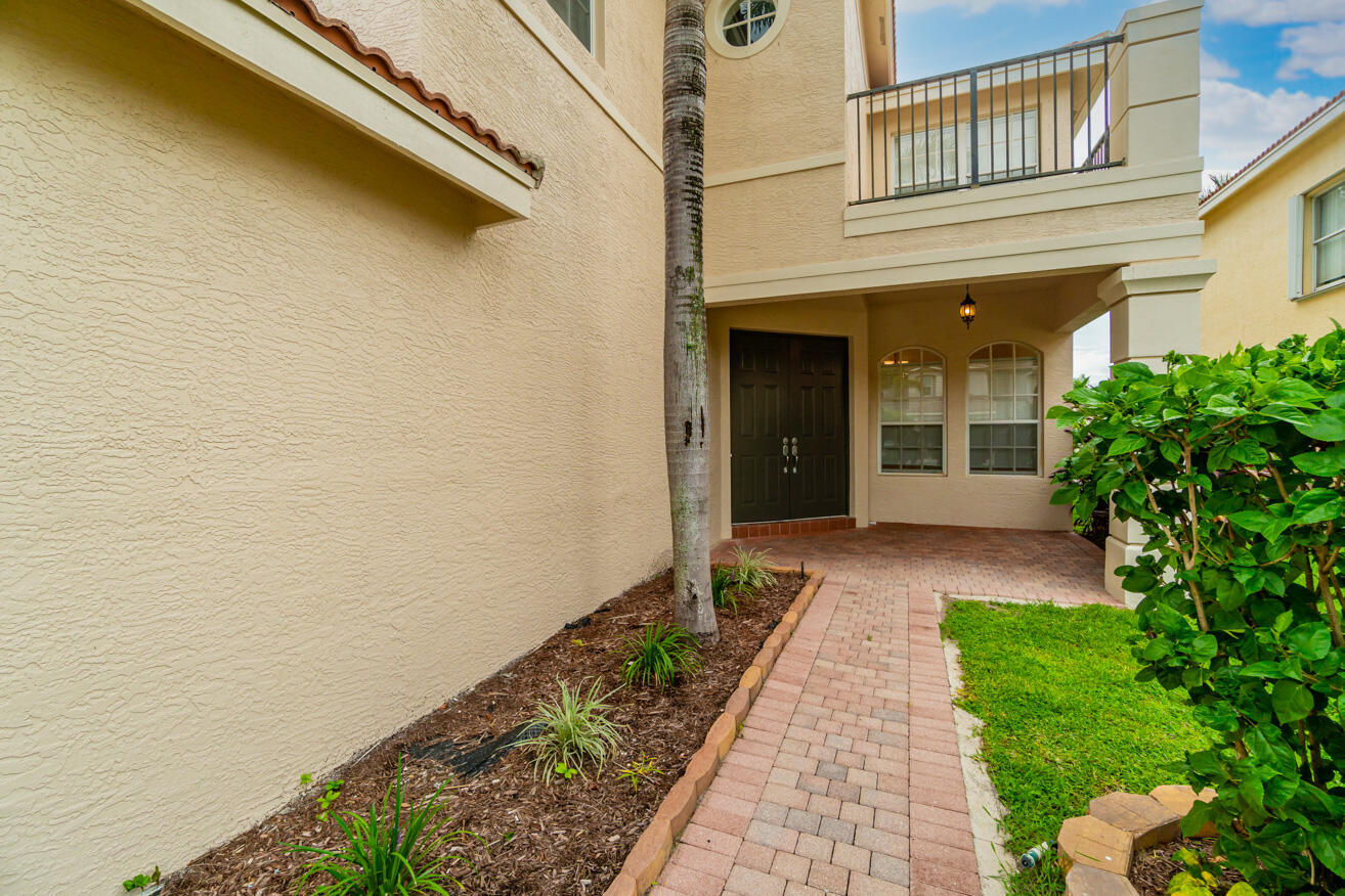 Entrance & Walkway