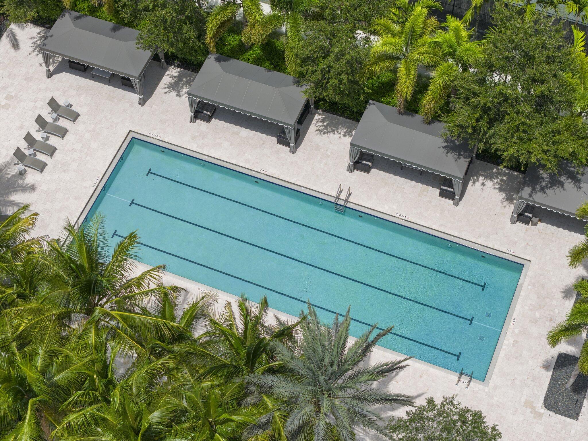 Rectangular swimming pool with lane markers, surrounded by light-toned paving, mature palm trees, and three shaded cabanas