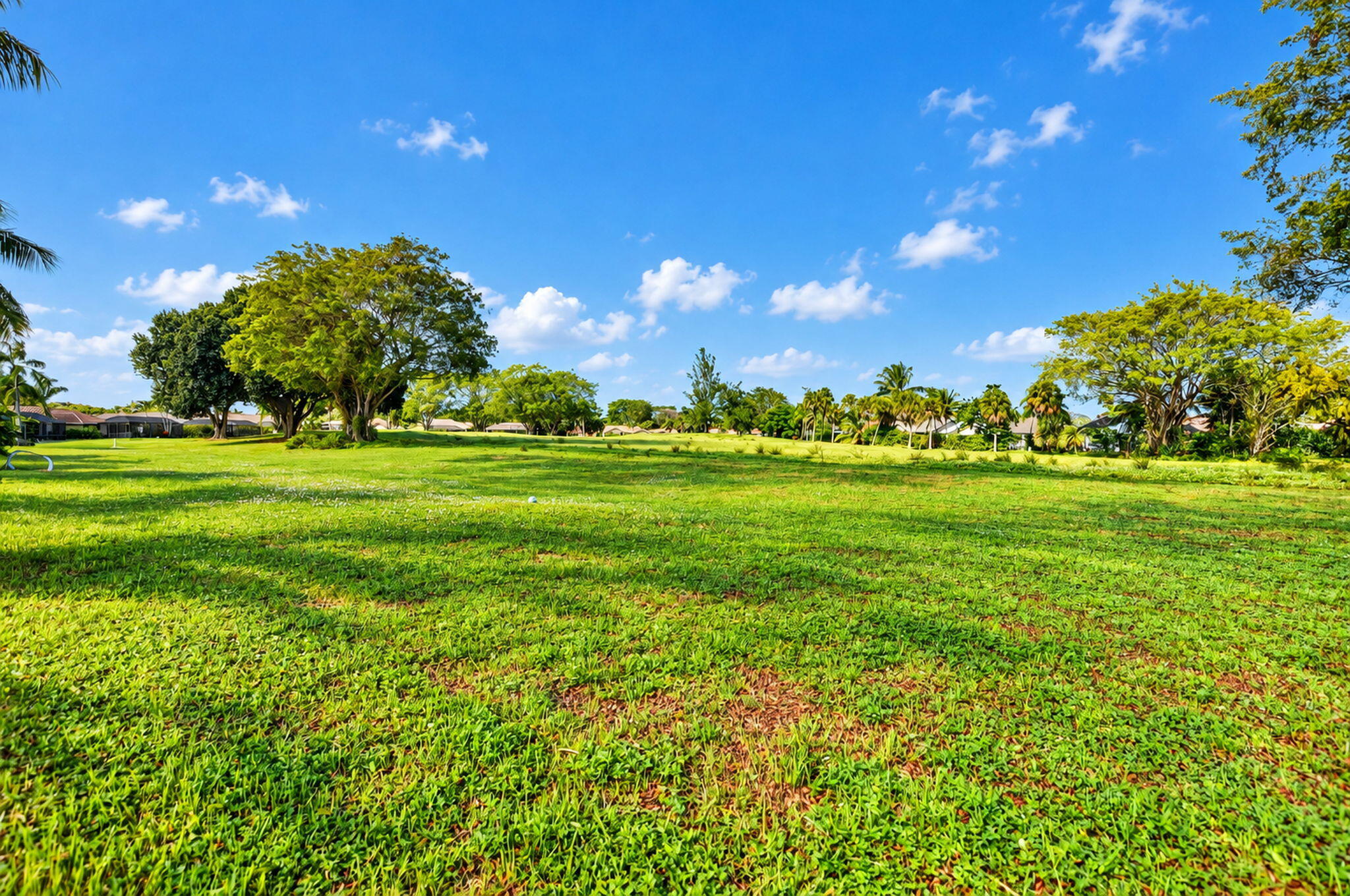 57-web-or-mls-DSC_6519