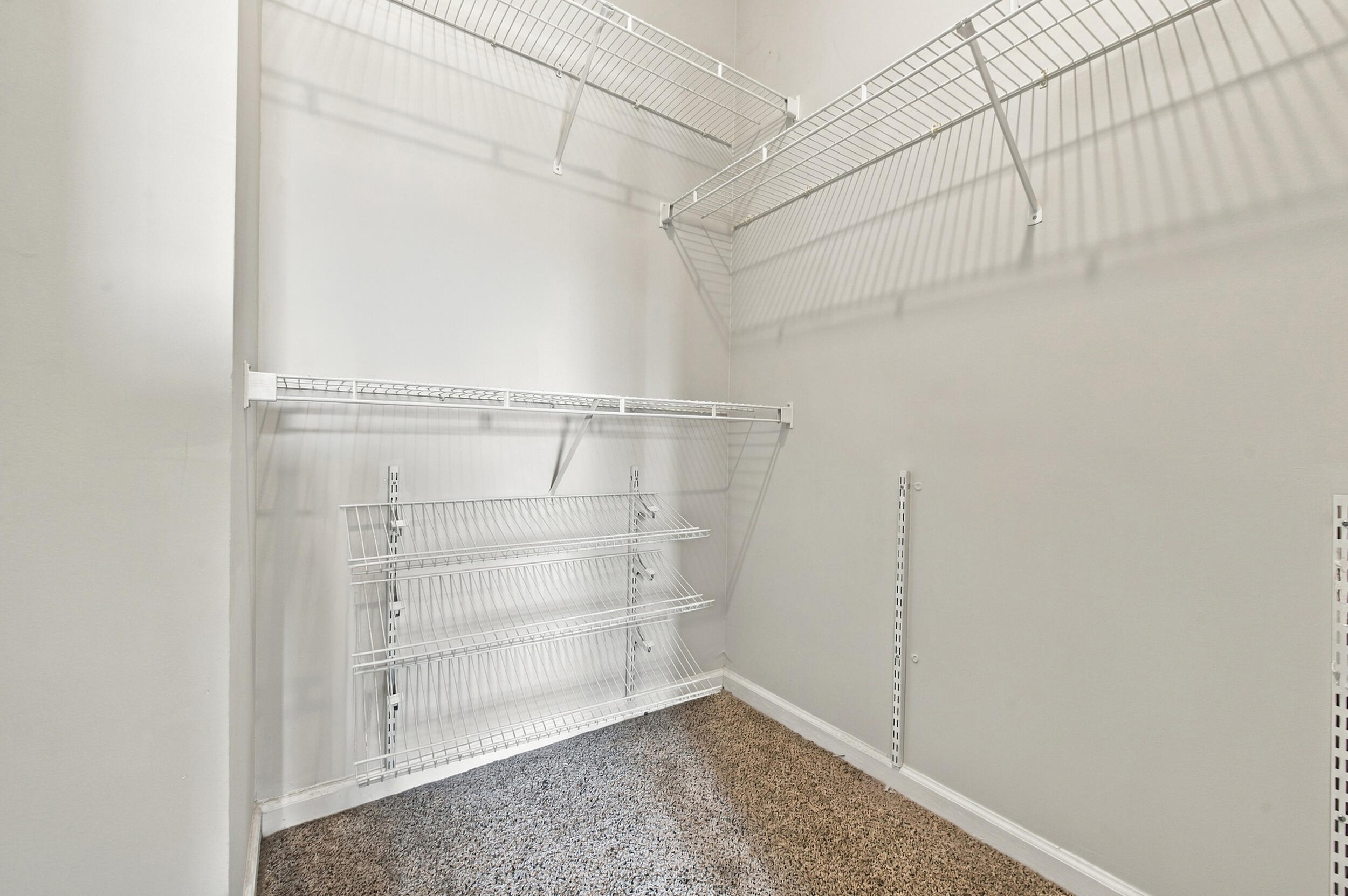 Walk-in storage space featuring multi-level white wire shelving and carpeted flooring